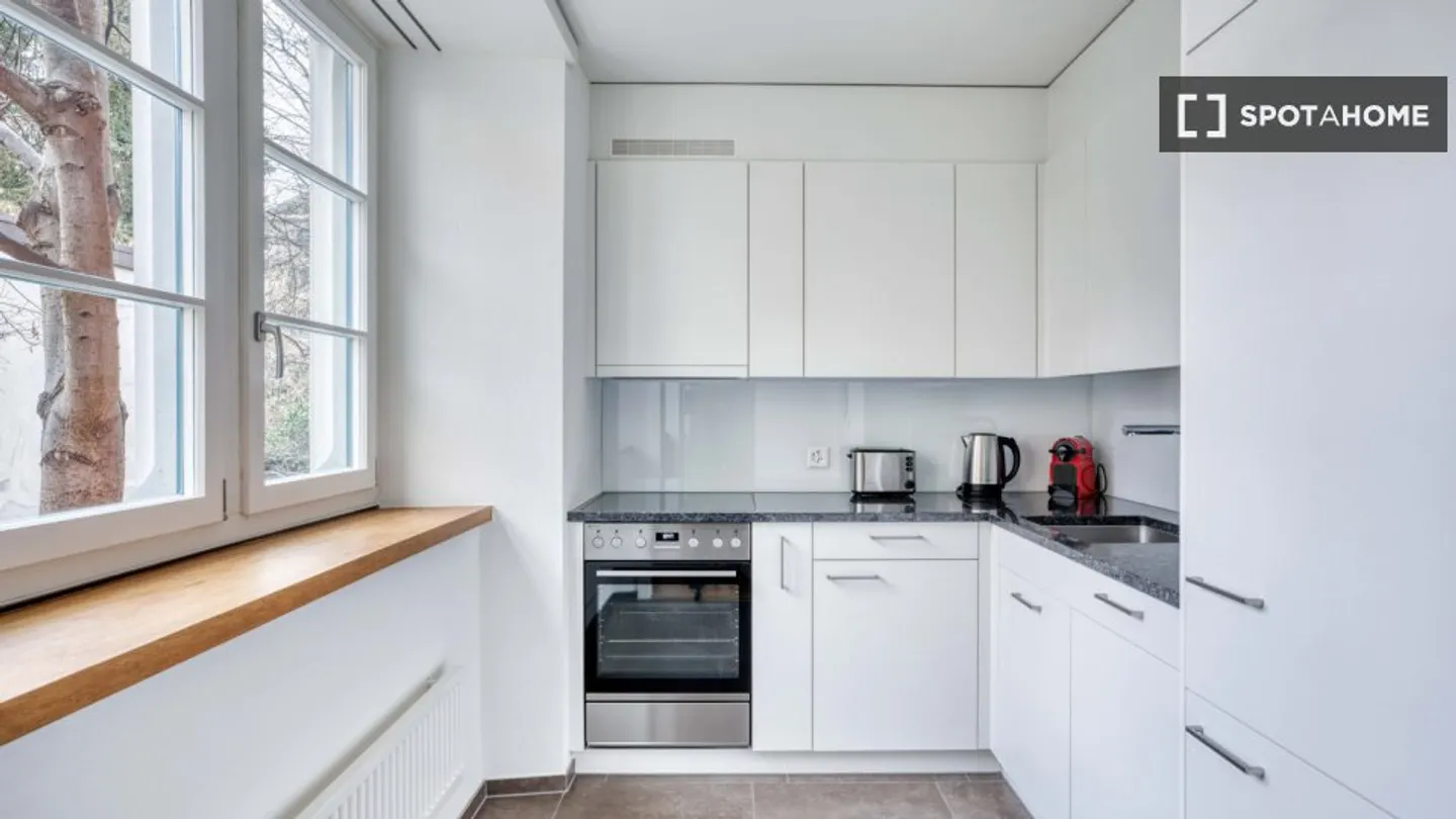 Charming Apartment in Zurich - Photo 5 of 14