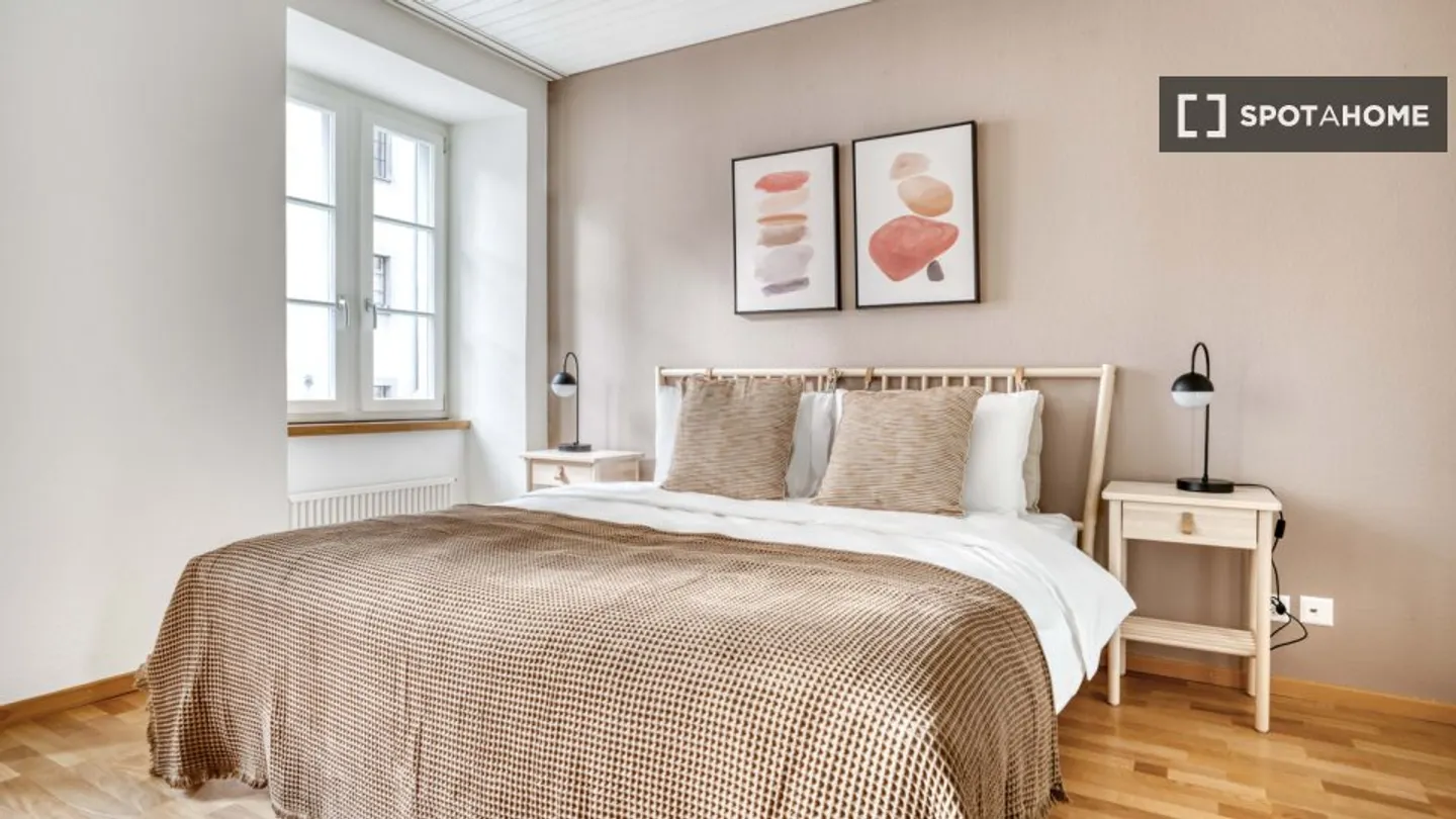 Charming Apartment in Zurich - Photo 8 of 14
