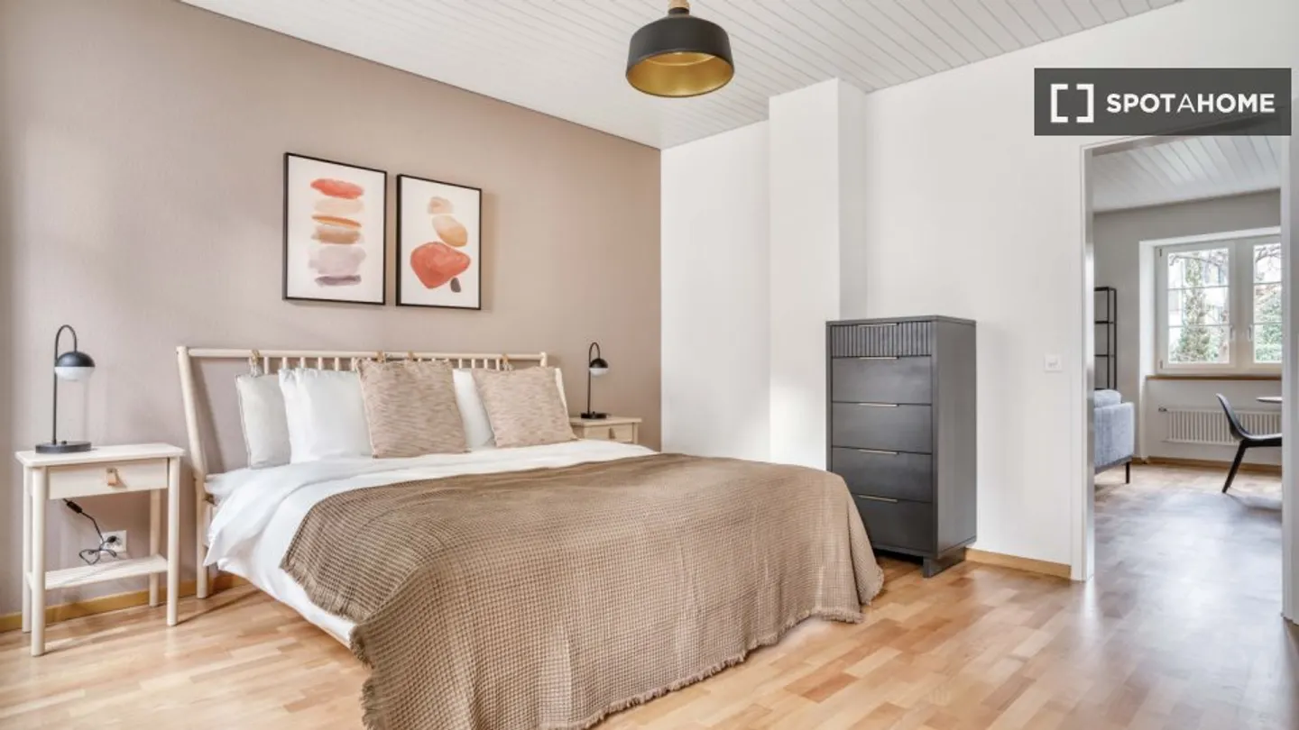 Charming Apartment in Zurich - Photo 10 of 14