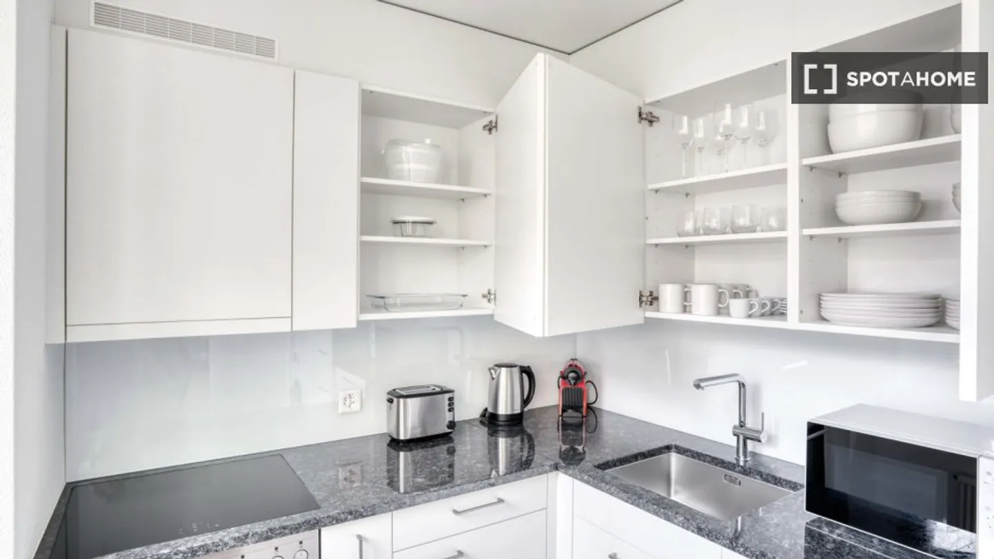 Charming Apartment in Zurich - Photo 7 of 14