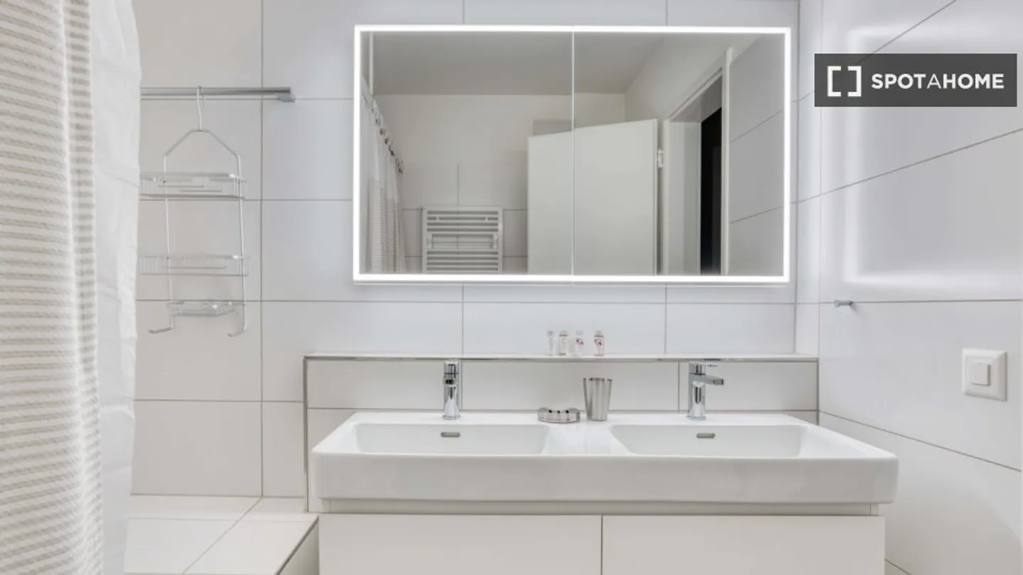 Charming Apartment in Zurich - Photo 12 of 14
