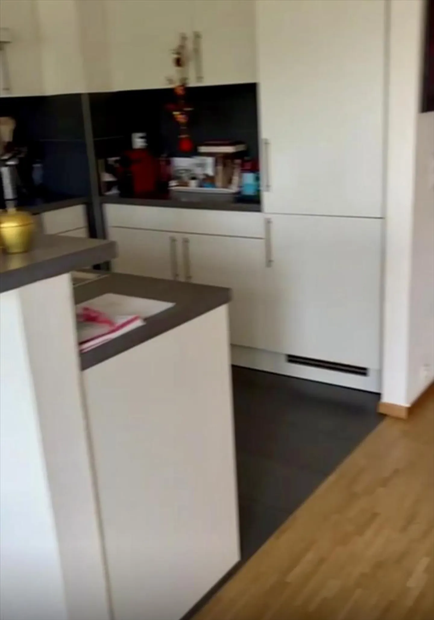 Wohnung zur Miete in Genf, Schweiz - Foto 4 von 10