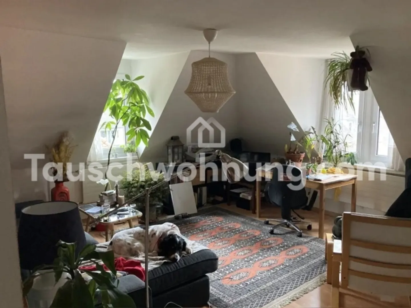 [APPARTAMENTO IN SCAMBIO] Attico a Wipkingen con vista sulla città e molta luce! - Foto 1 di 5