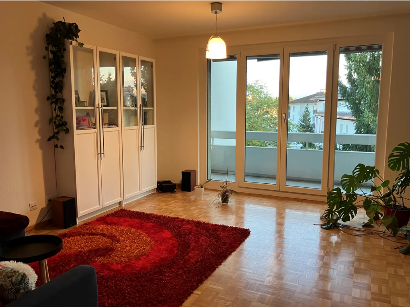 Centrally Located Apartment Near Train Station - Photo 3 of 12