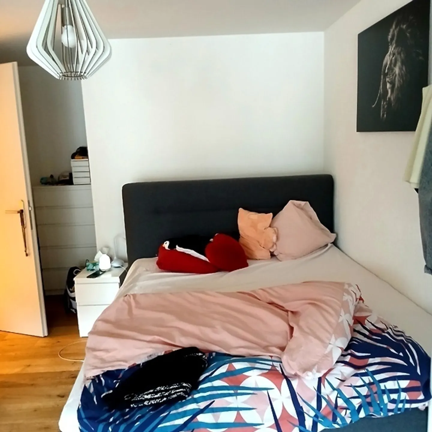 Appartamento in affitto - Foto 6 di 8