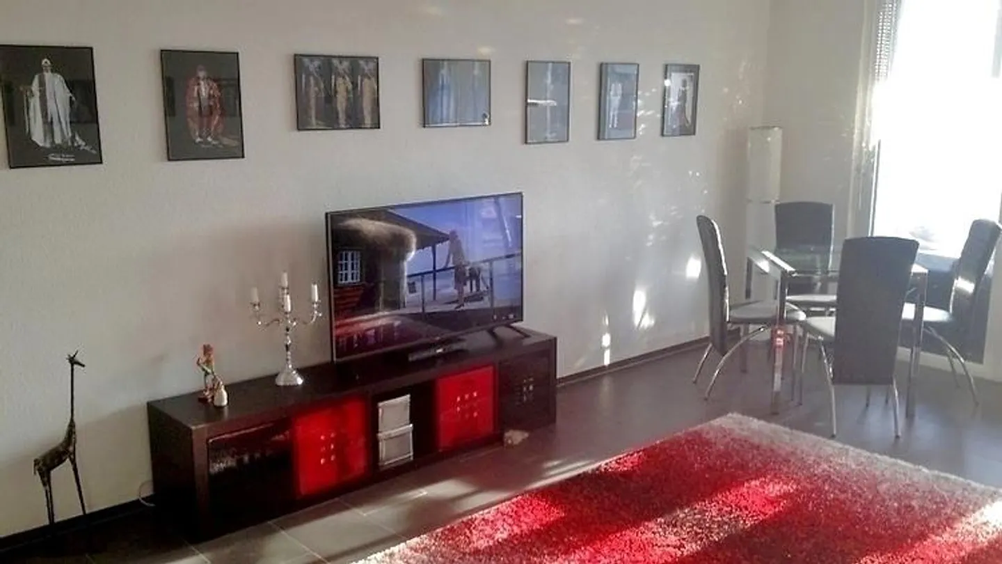 APPARTAMENTO 2½ STANZE A DIETIKON (ZH), ARREDATO - Foto 2 di 10