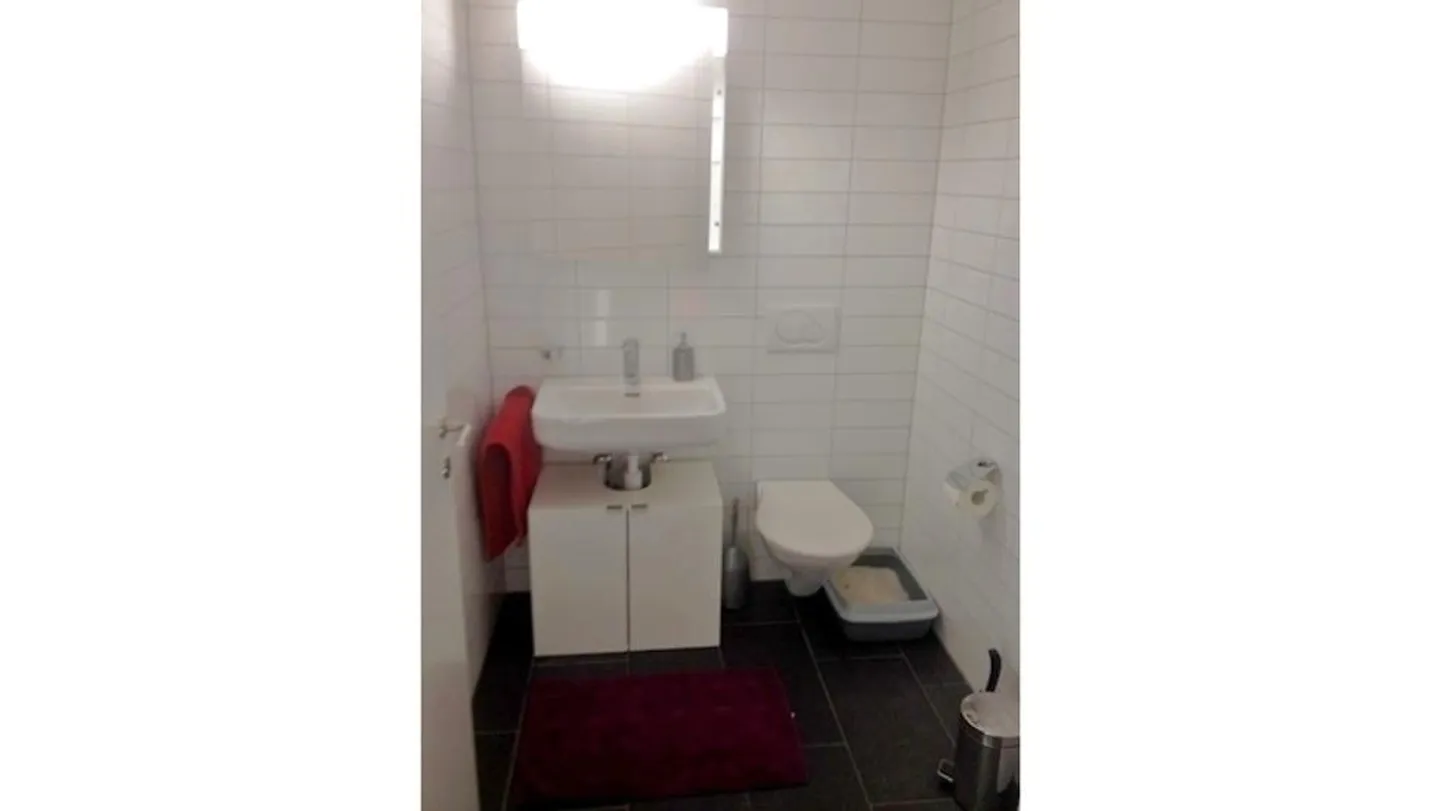 APPARTAMENTO 2½ STANZE A DIETIKON (ZH), ARREDATO - Foto 9 di 10