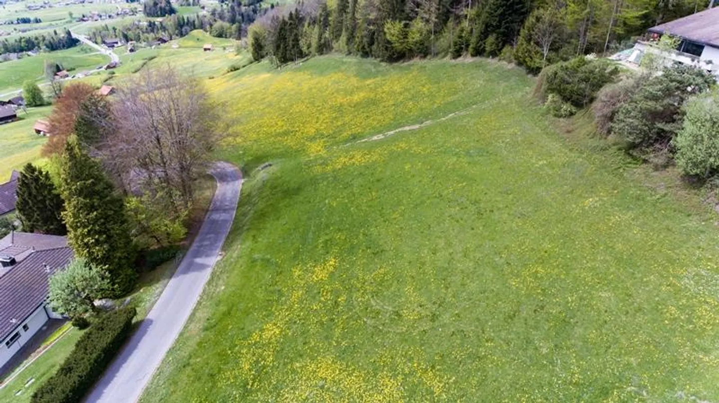 Terreno da sogno con vista libera - Foto 7 di 10