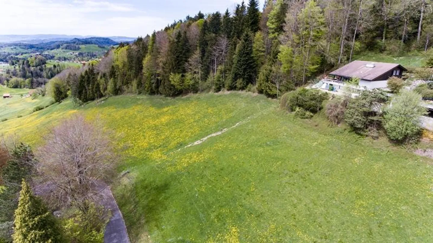 Terreno da sogno con vista libera - Foto 6 di 10