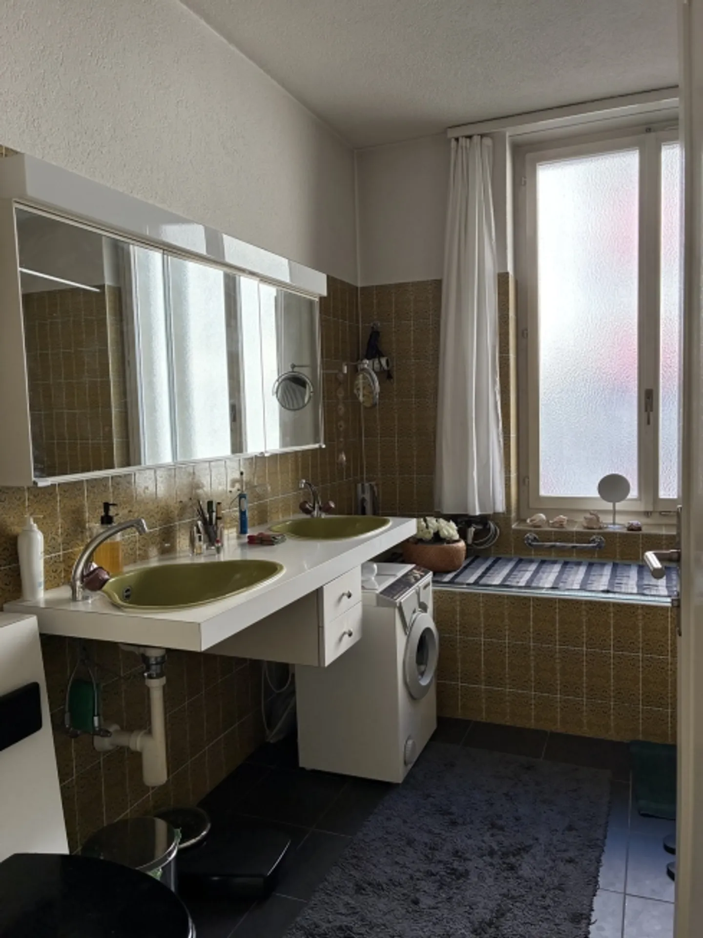 APPARTAMENTO 5½ STANZE A BERN, ARREDATO - Foto 7 di 10