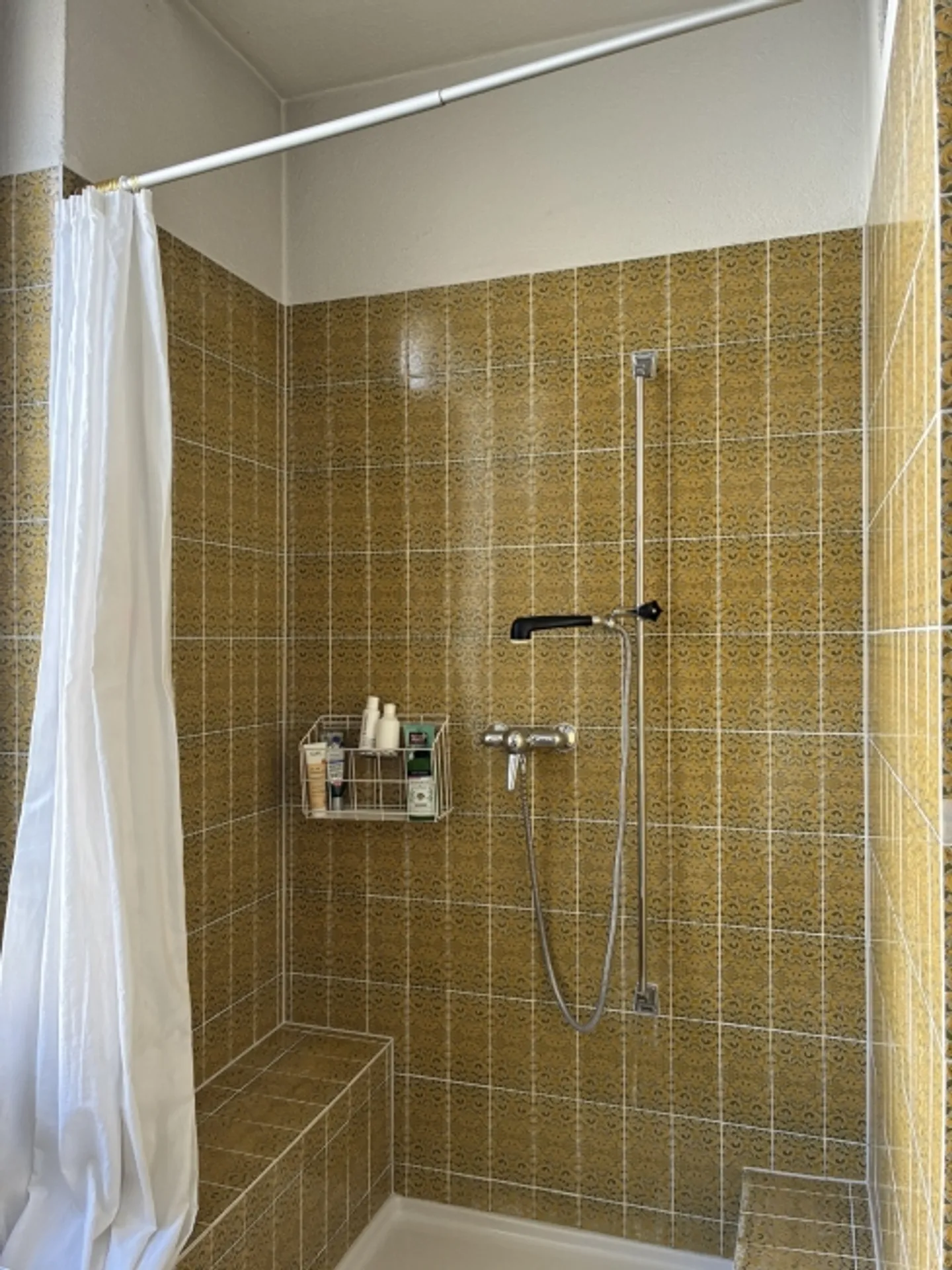 APPARTAMENTO 5½ STANZE A BERN, ARREDATO - Foto 8 di 10