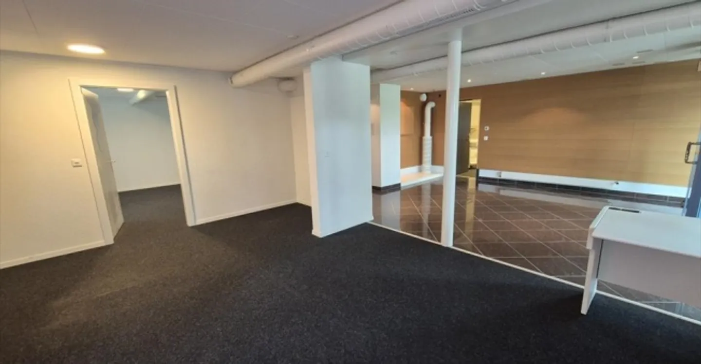 Edificio ad uso misto in affitto - Foto 1 di 10