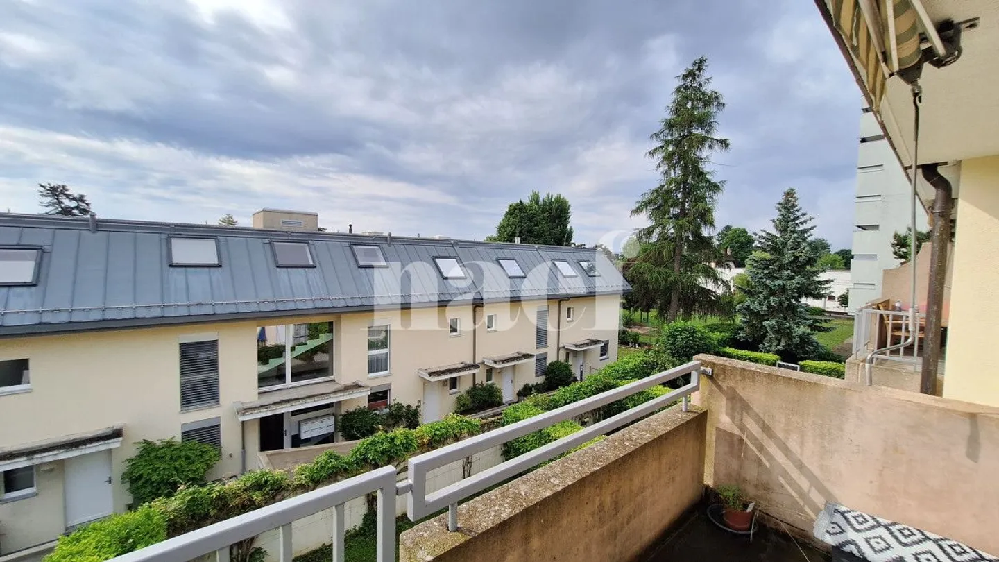 3.5 Room Apartment - Photo 8 of 8