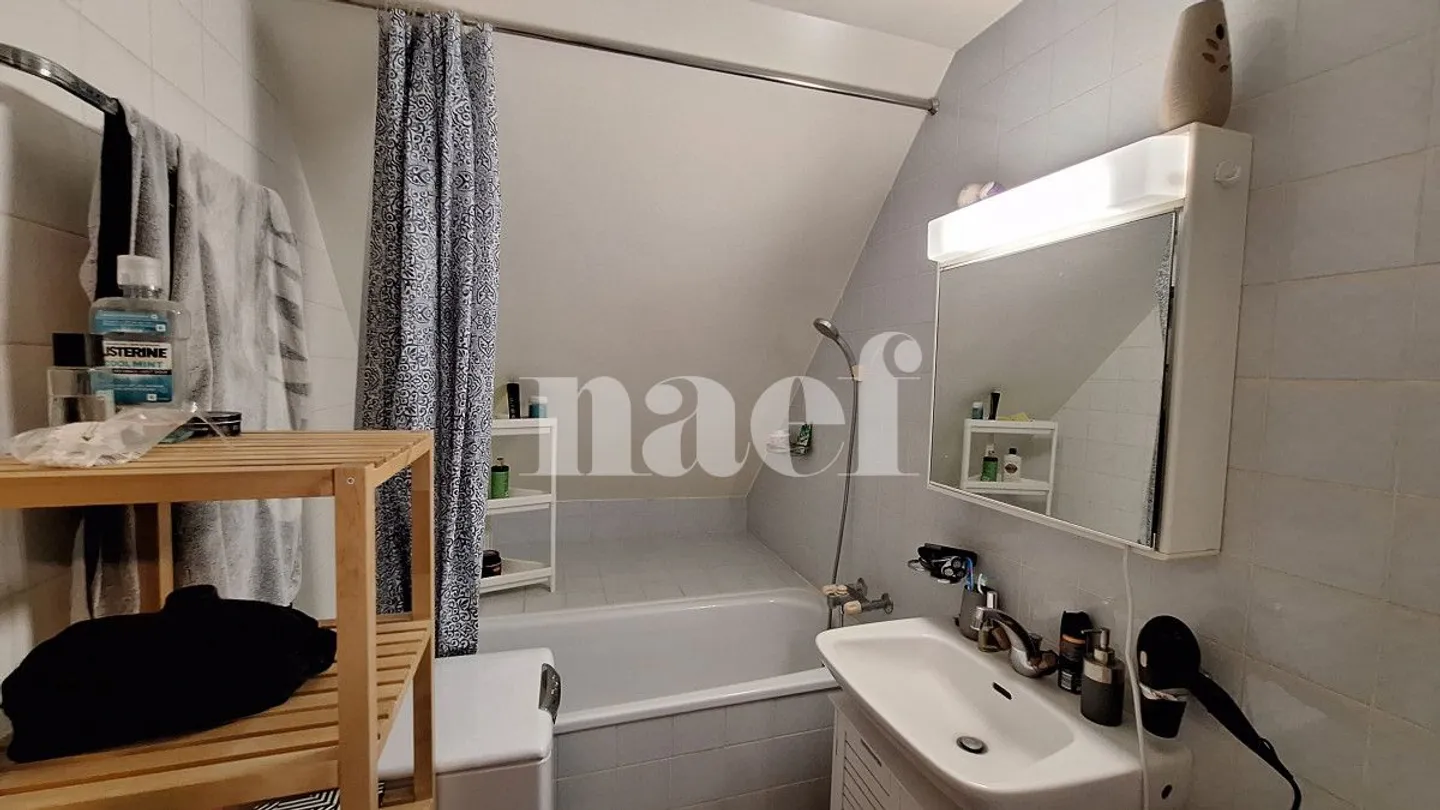 3.5 Room Apartment - Photo 7 of 8