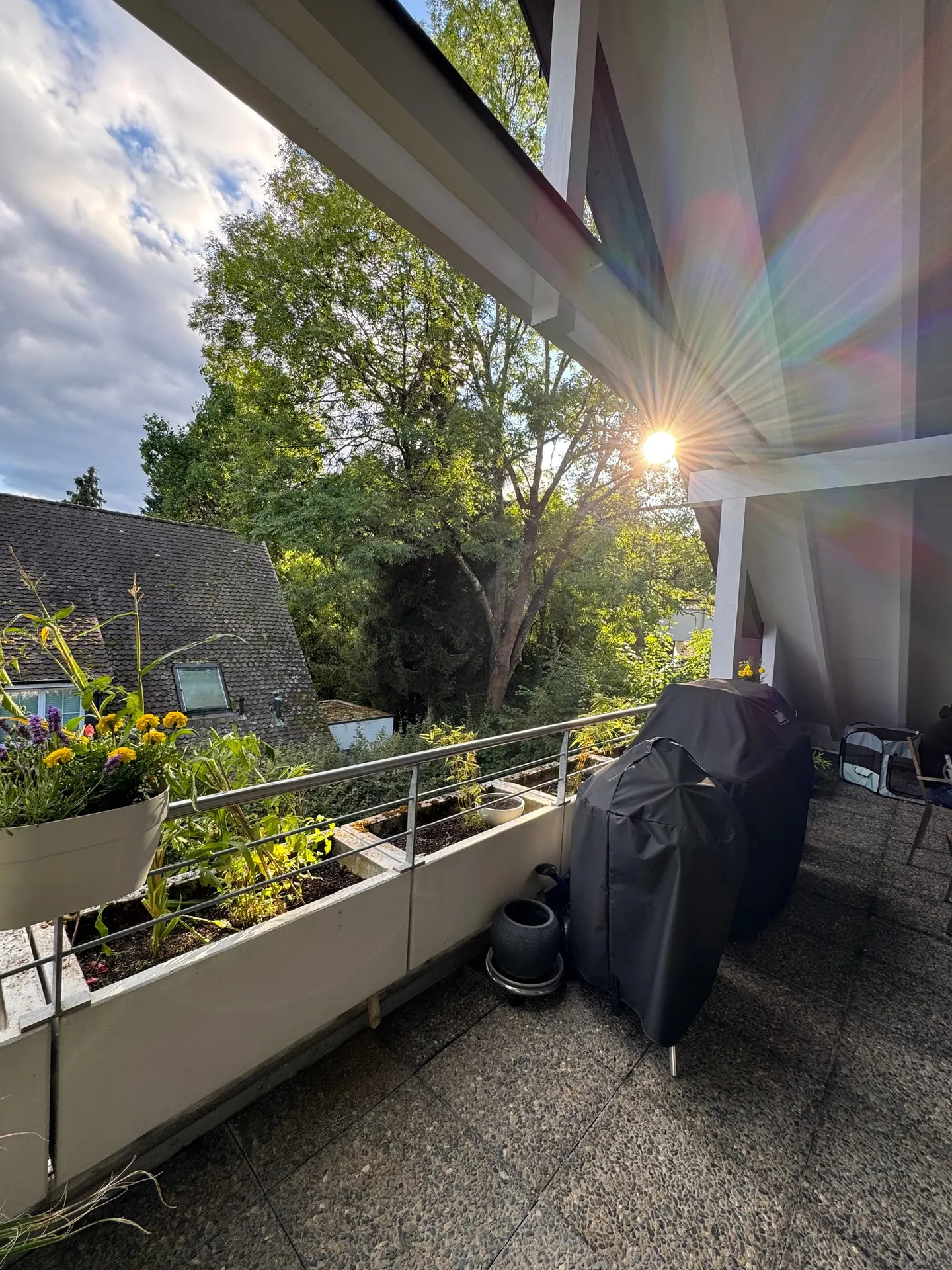 Modern 4-room penthouse with sauna and garage in Reinach - Photo 2 of 13