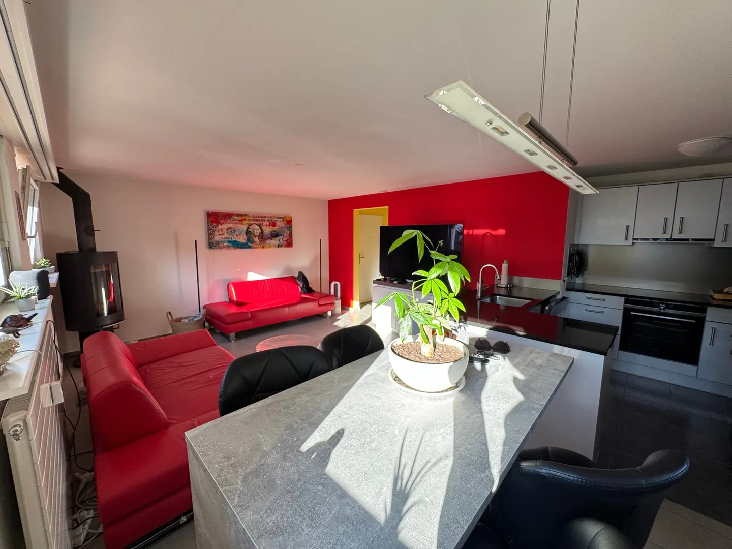 Modern 4-room penthouse with sauna and garage in Reinach - Photo 4 of 13