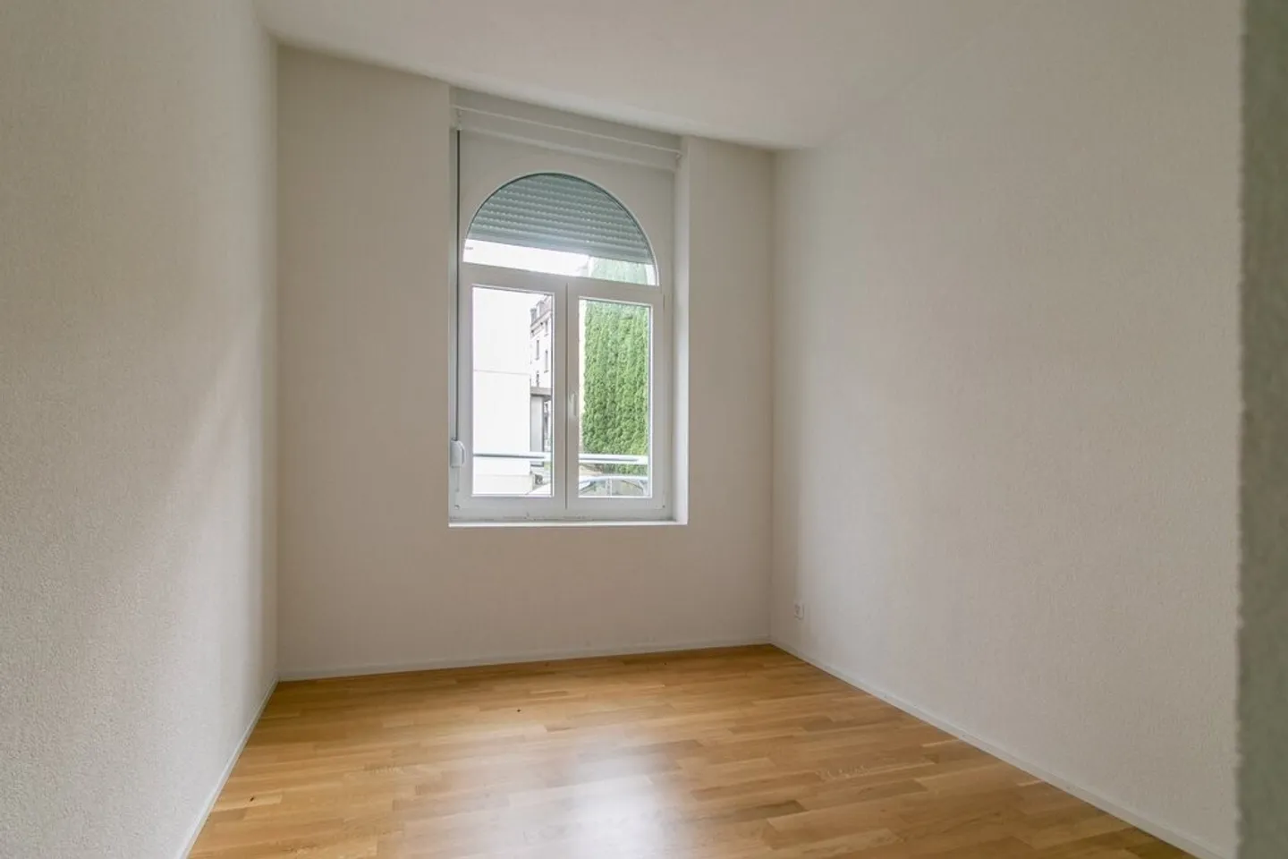Alles in der Nähe! - Foto 5 von 5