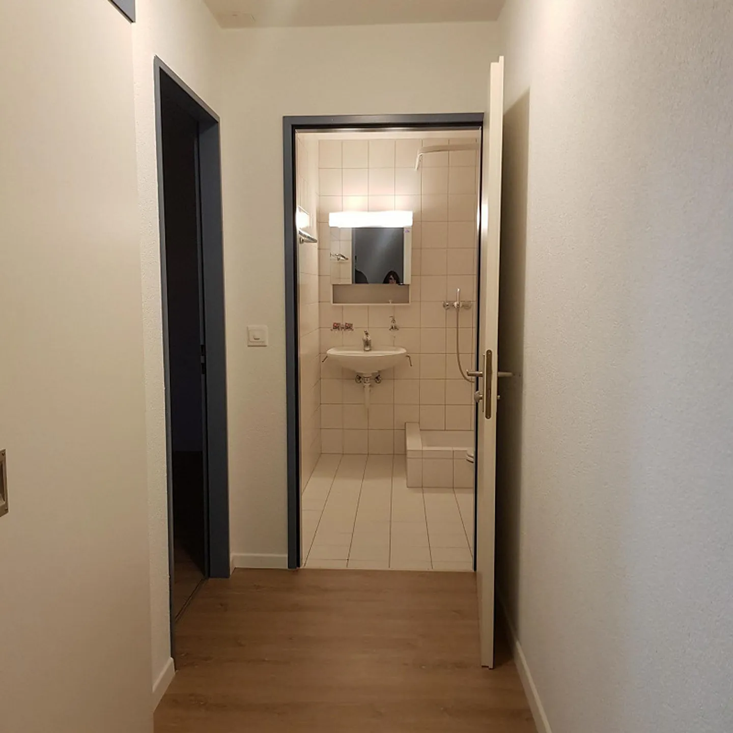 Appartamento soleggiato di 2,5 stanze 55m2 disponibile dal 1 febbraio 2026 - Foto 4 di 8