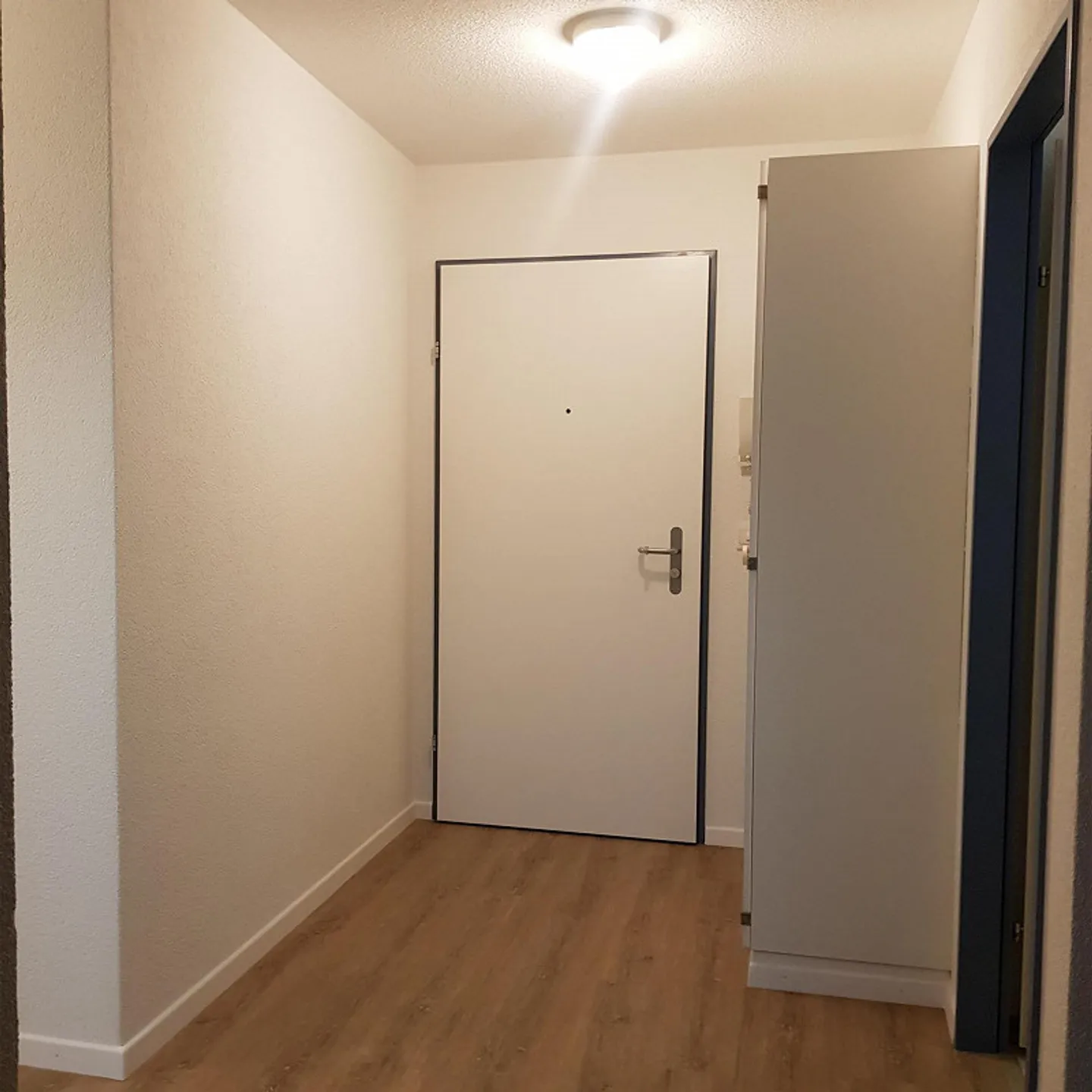 Appartamento soleggiato di 2,5 stanze 55m2 disponibile dal 1 febbraio 2026 - Foto 5 di 8