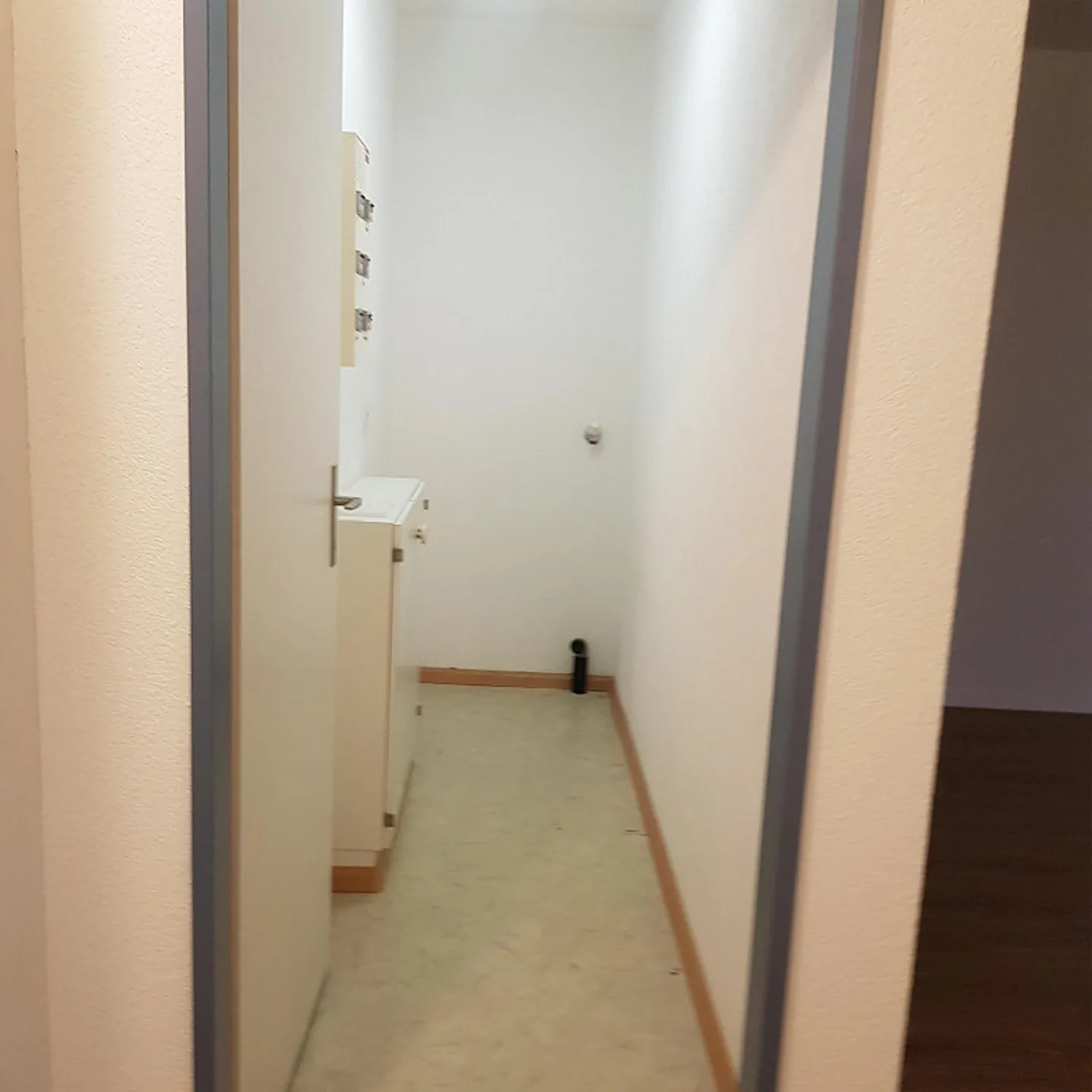 Appartamento soleggiato di 2,5 stanze 55m2 disponibile dal 1 febbraio 2026 - Foto 7 di 8