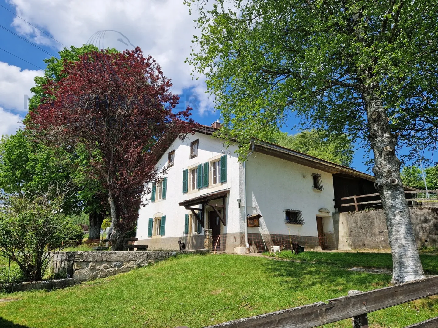 Franches-Montagnes in an idyllic and peaceful setting - Photo 1 of 23