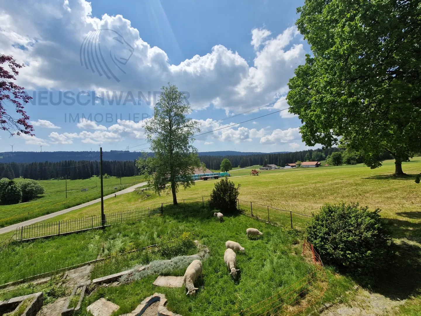 Franches-Montagnes in an idyllic and peaceful setting - Photo 7 of 23