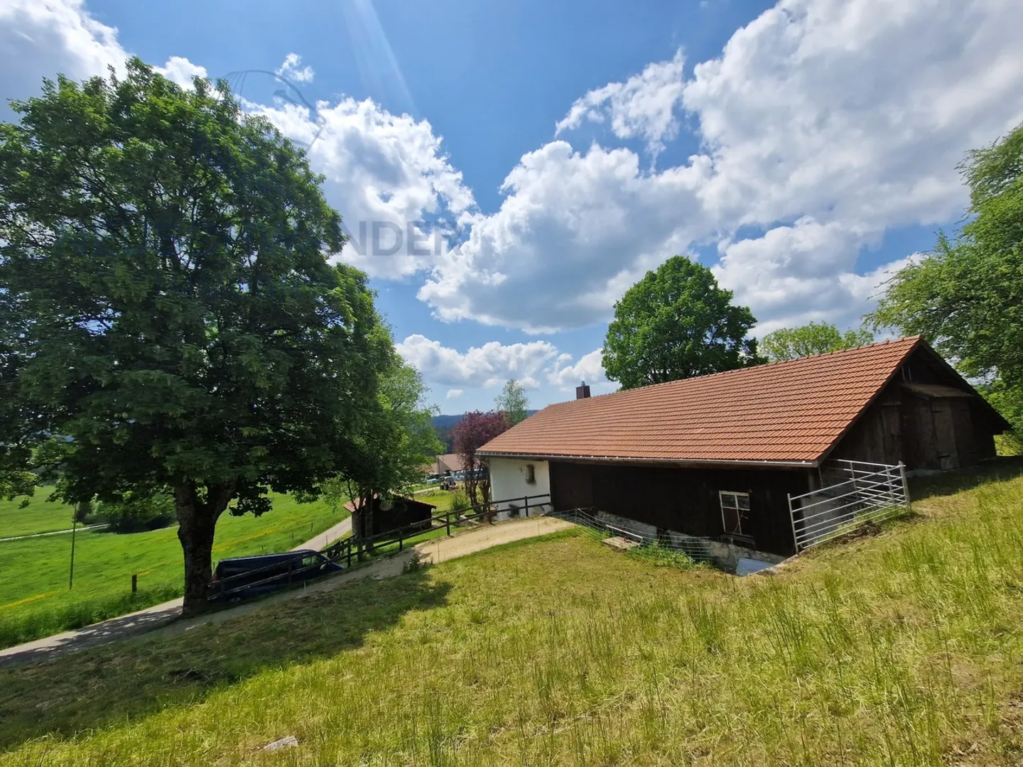 Franches-Montagnes in an idyllic and peaceful setting - Photo 9 of 23