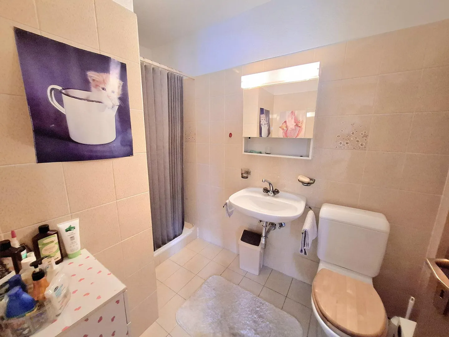 Wunderschöne Einfamilienvilla in Bellinzona, im Kanton Tessin - Foto 12 von 14