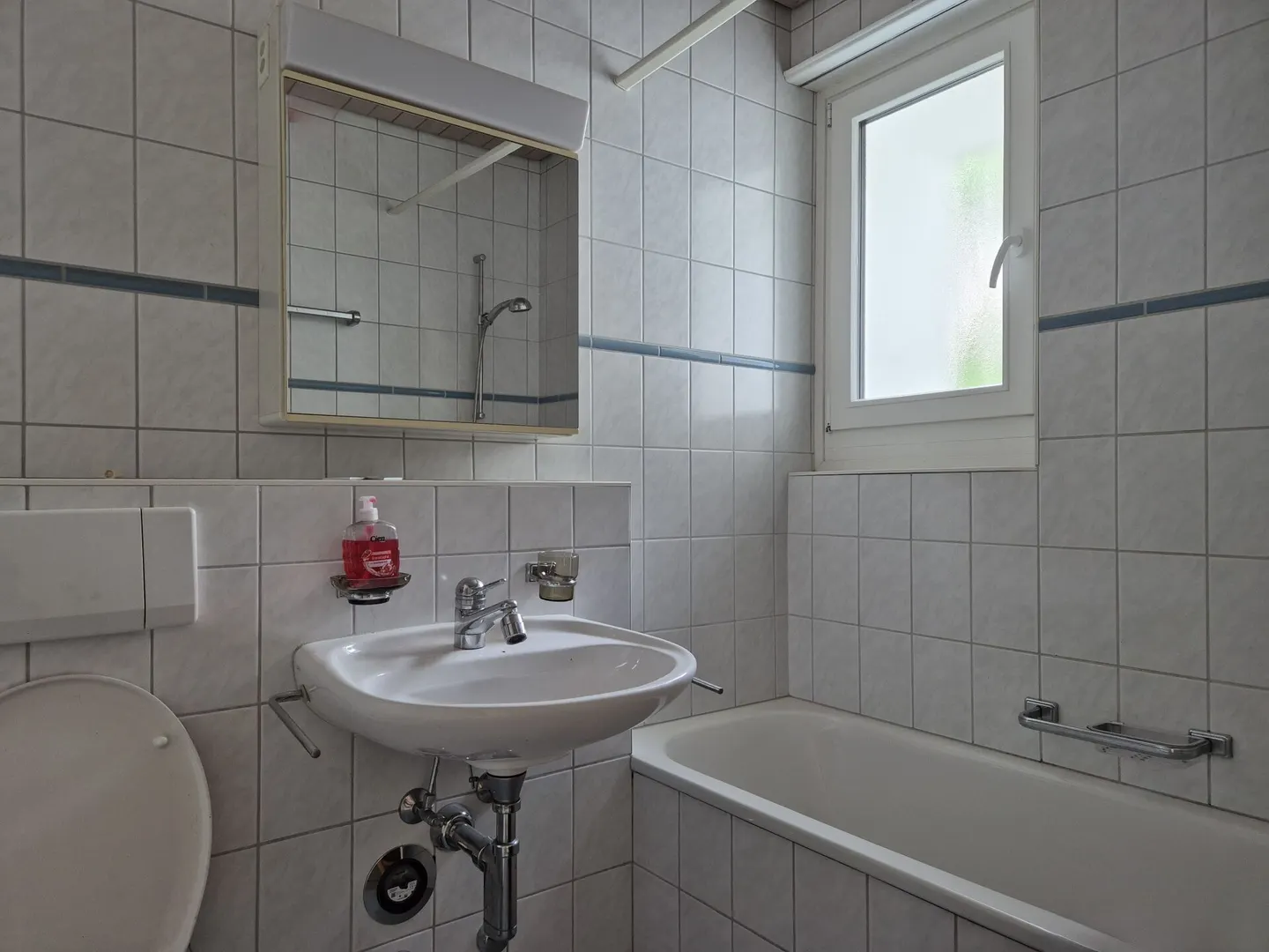 Renovated Apartments in the Alps - Photo 4 of 6