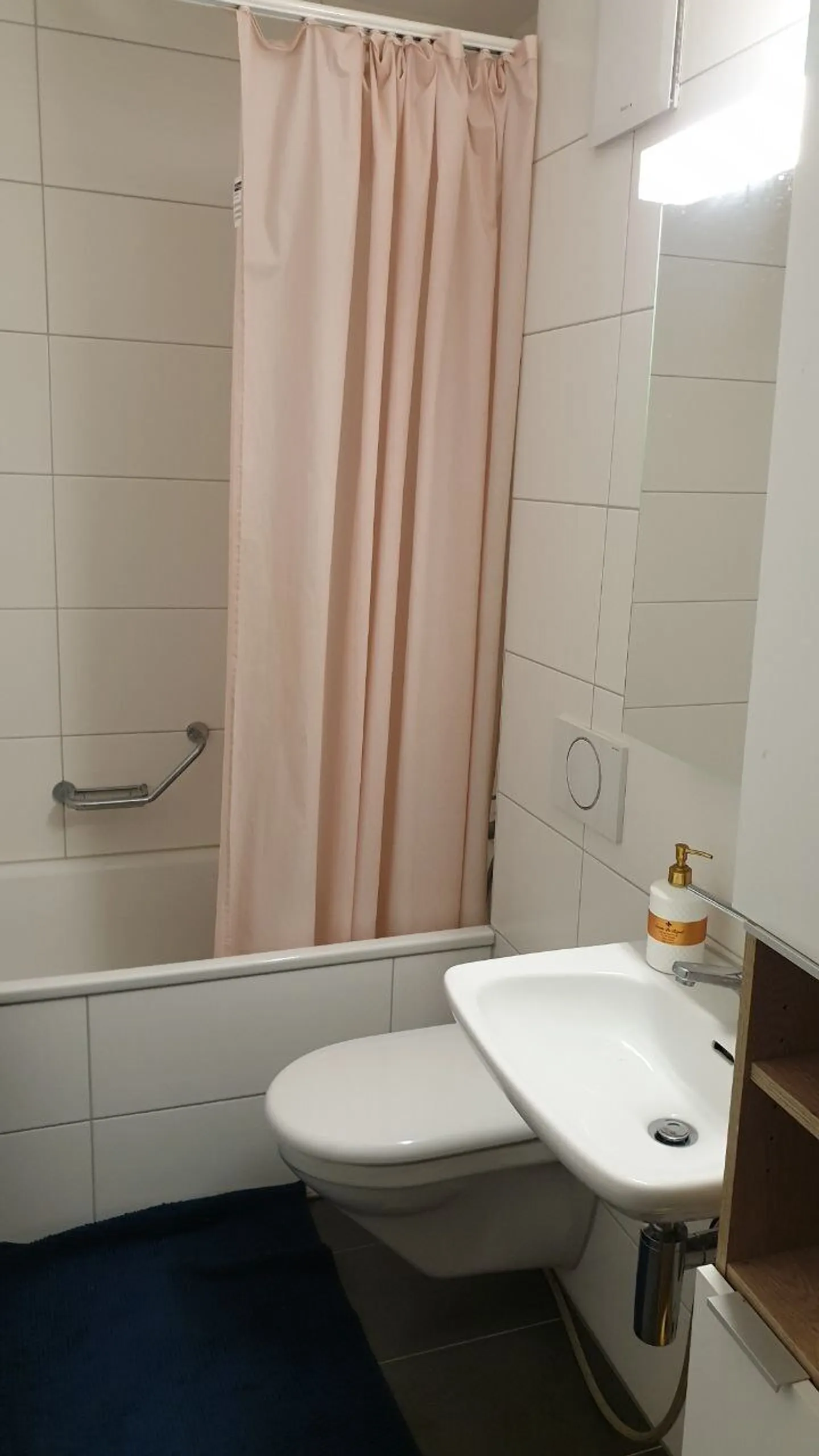 Möblierte Wohnung in Bern - Foto 7 von 7