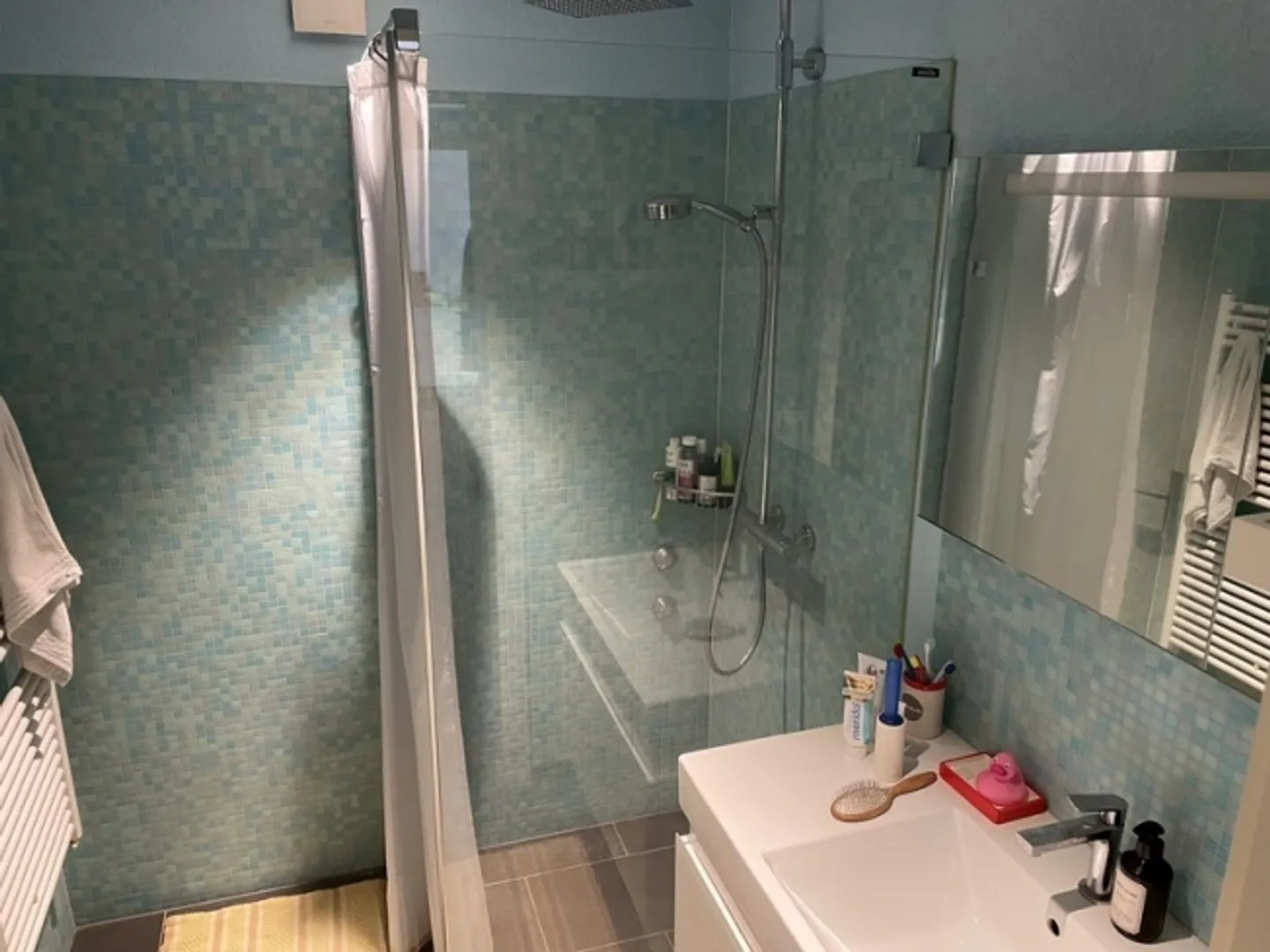 APPARTEMENT 3½ PIÈCES À BERNE - WEISSENBÜHL, MEUBLÉ, TEMPORAIRE - Photo 6 sur 6