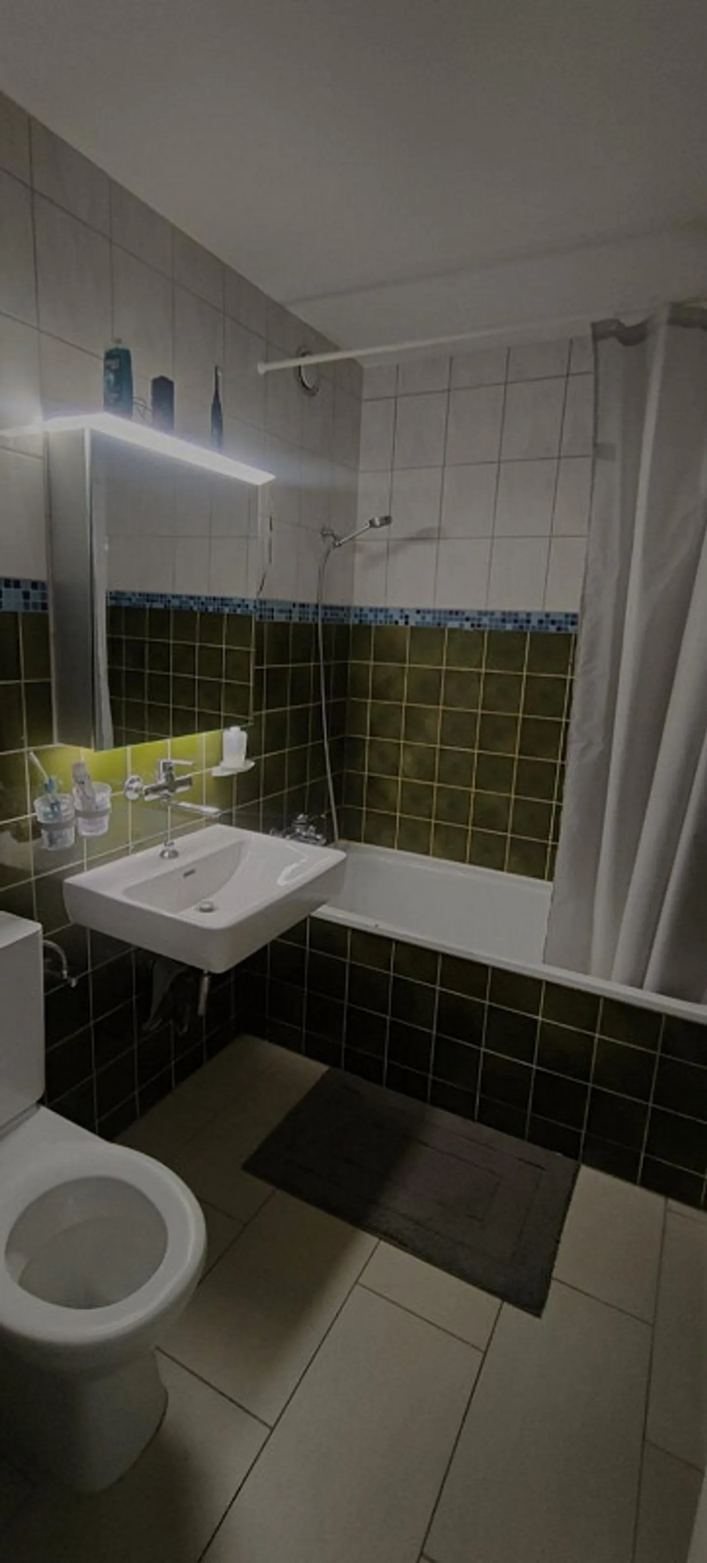 Chambre partagée temporaire à Breitenrein Bern - Photo 5 sur 9