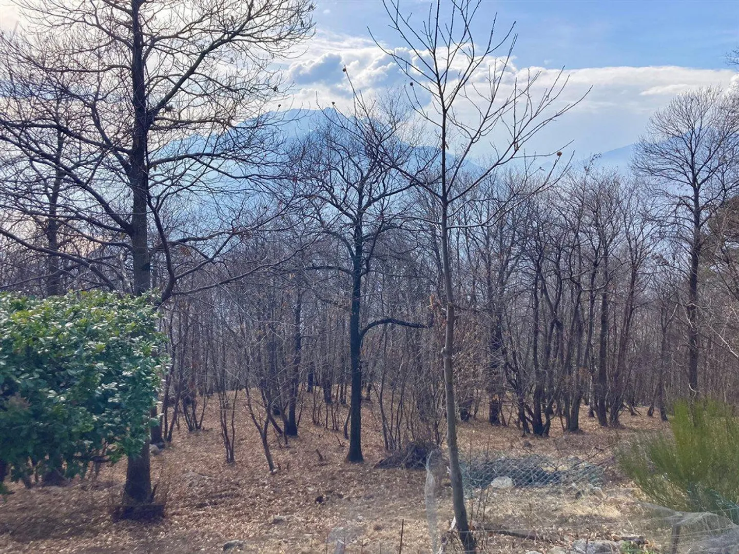 Maison à rénover à Monte Brè - Photo 14 sur 15