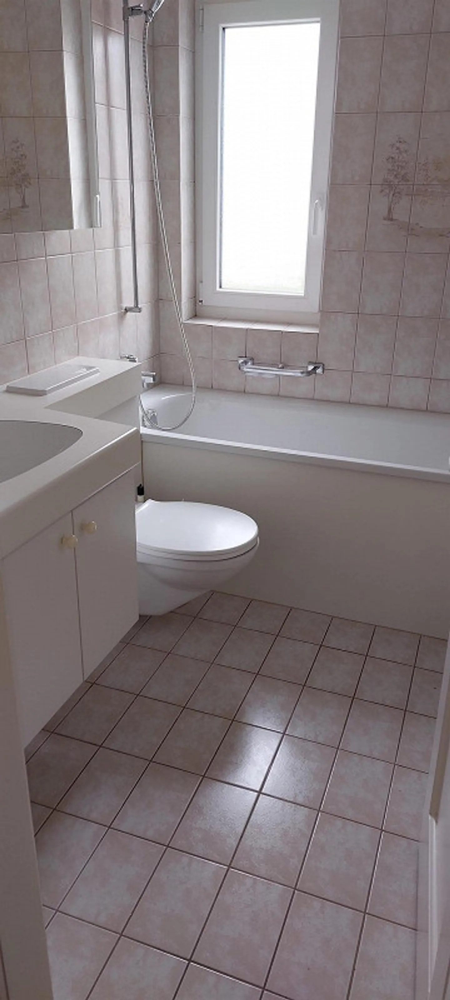 Appartamento Incantevole a Neuhausen - Foto 3 di 11