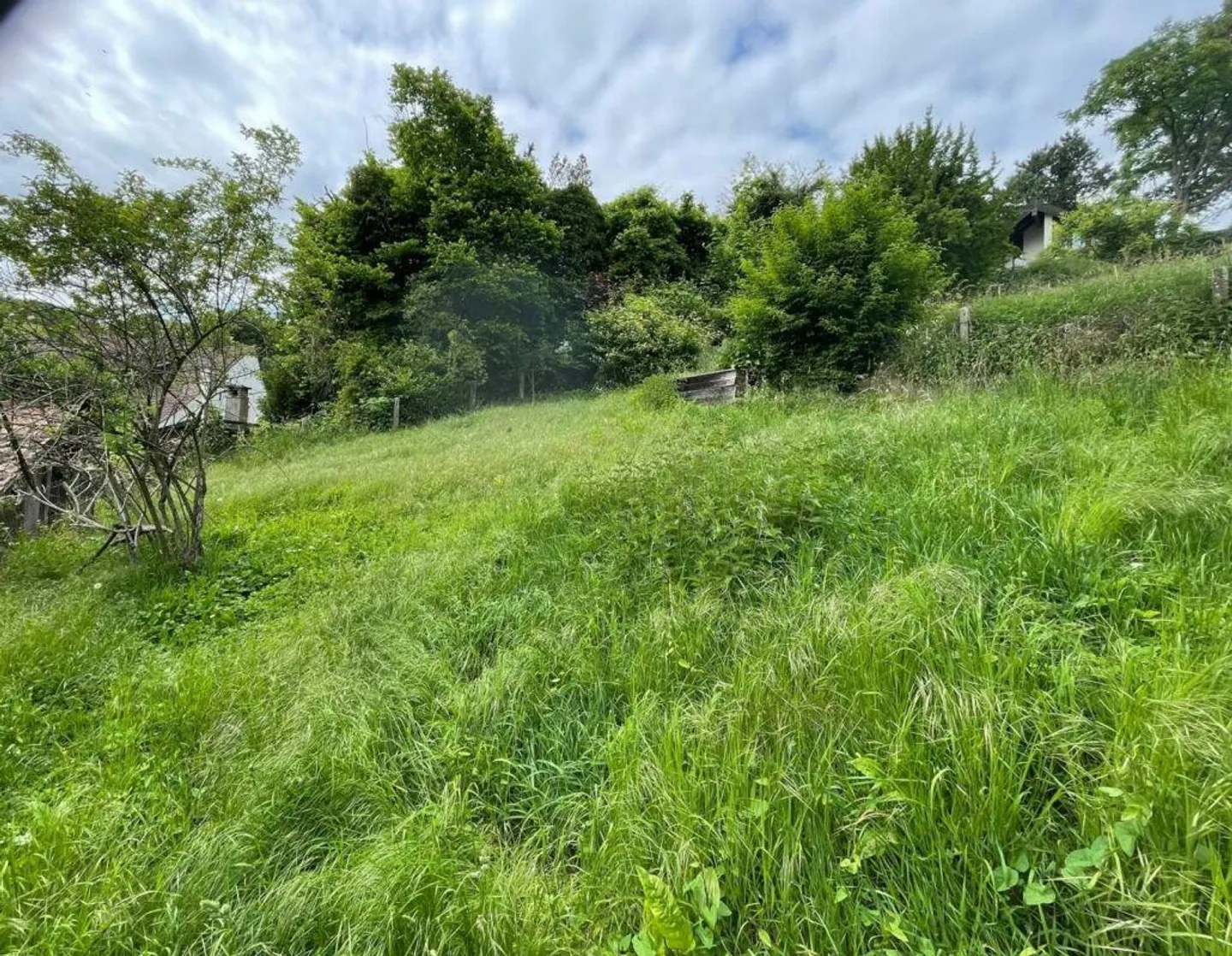 Renovation-Required Property with History and Potential - Photo 12 of 13