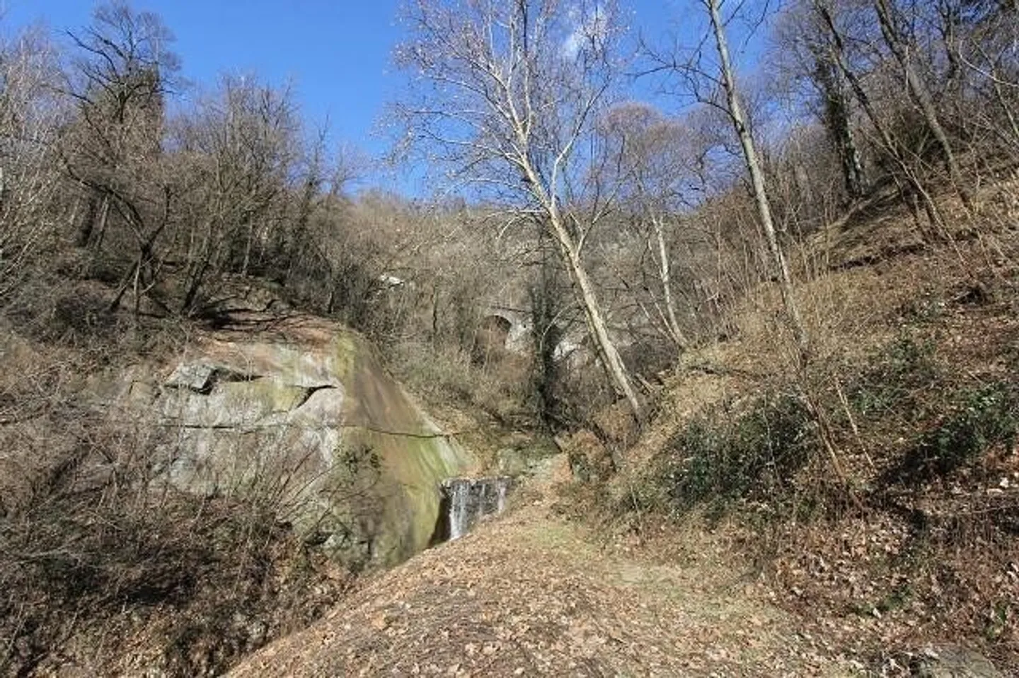Incantevole casa di 3 locali con bosco - Foto 9 di 12