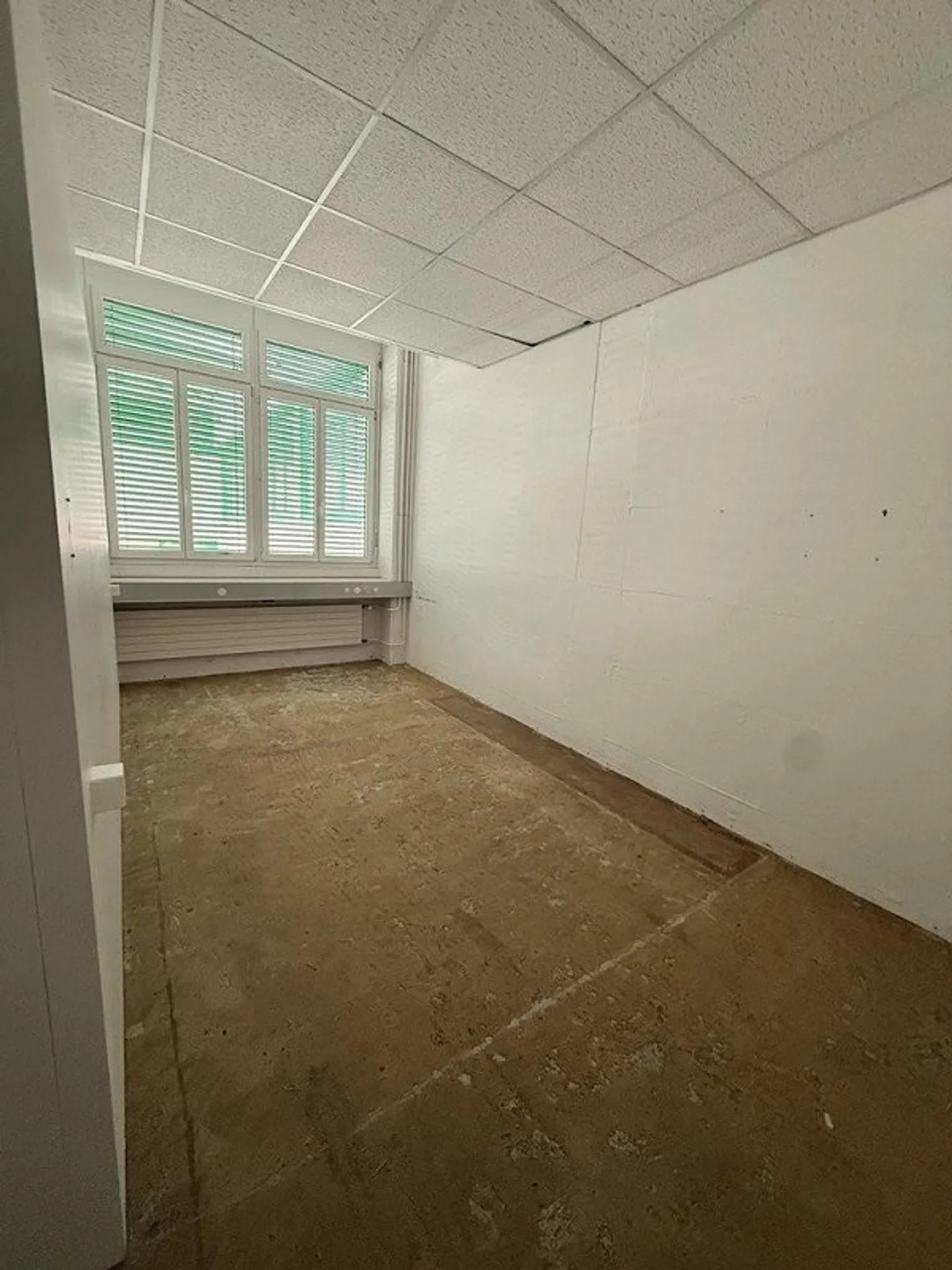 Archive space in prime location for rent - Photo 2 of 5