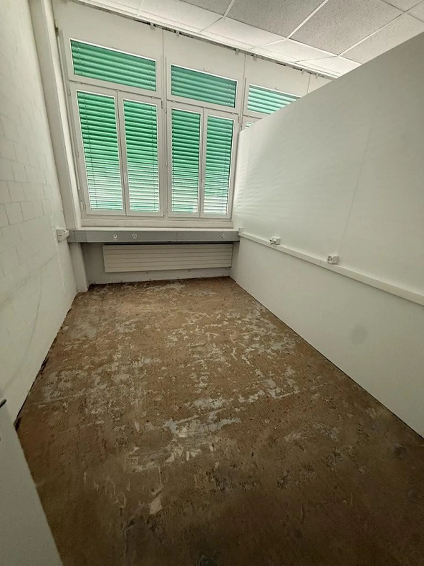 Archive space in prime location for rent - Photo 3 of 5