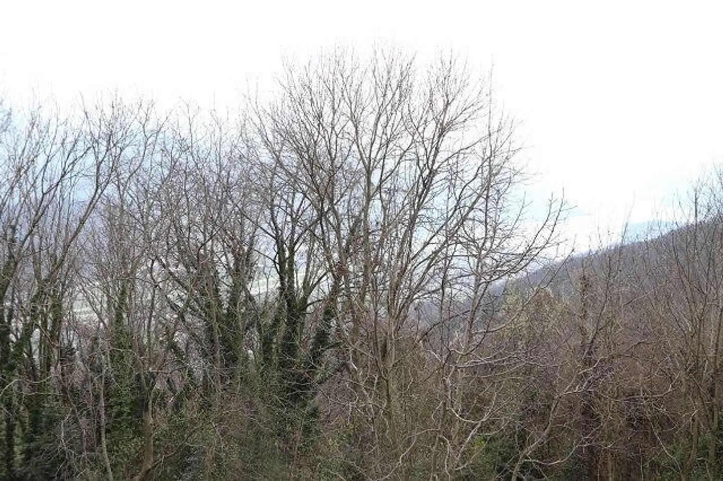 Charmantes Rustico - Foto 5 von 9