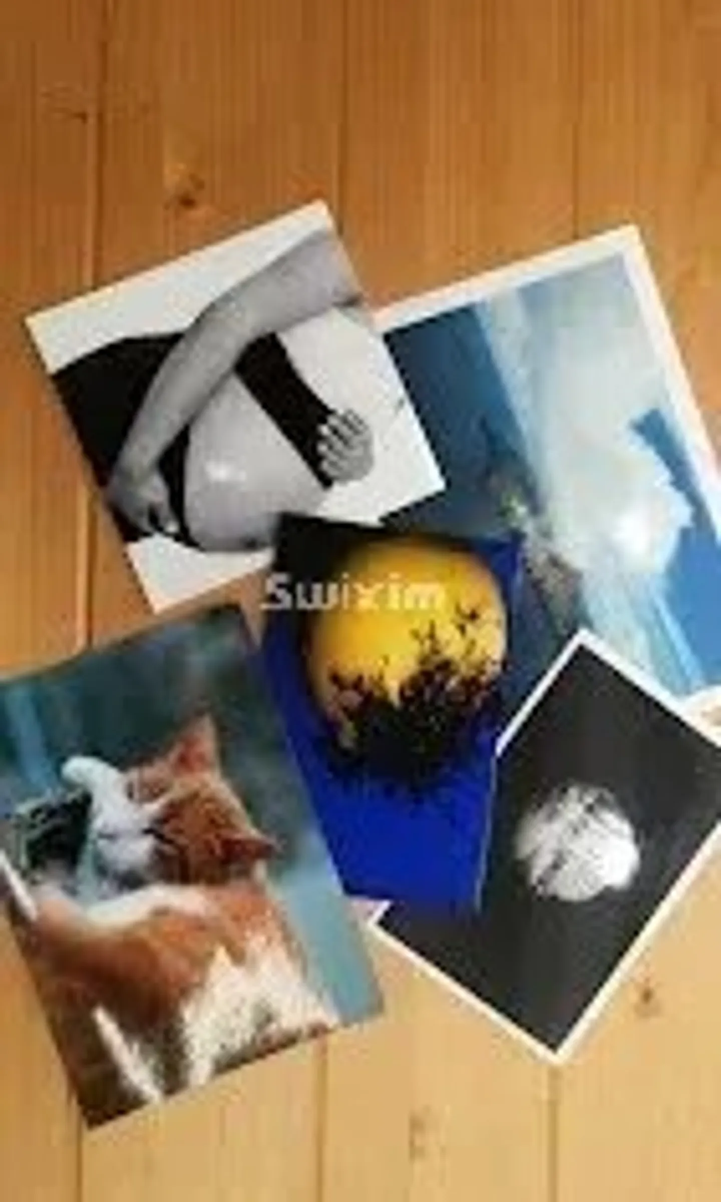 Commerce spécialisé pour la PHOTO - Photo 3 sur 3