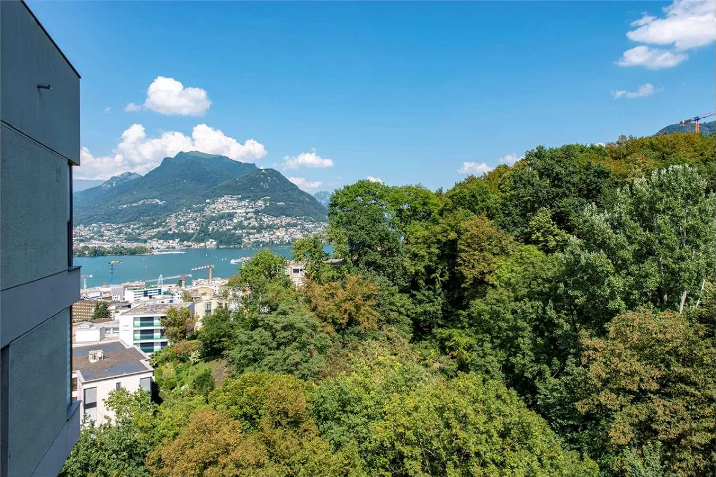 Vendita di 3,5 unità in affitto a Pazzallo - Foto 11 di 13