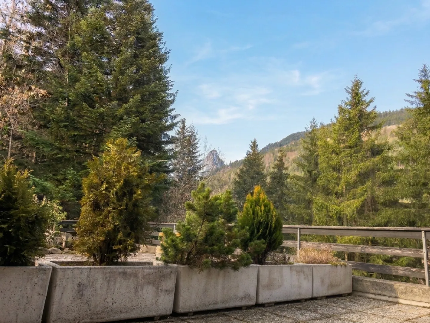 Renovated duplex for sale in Torgon with mountain views - Photo 6 of 8
