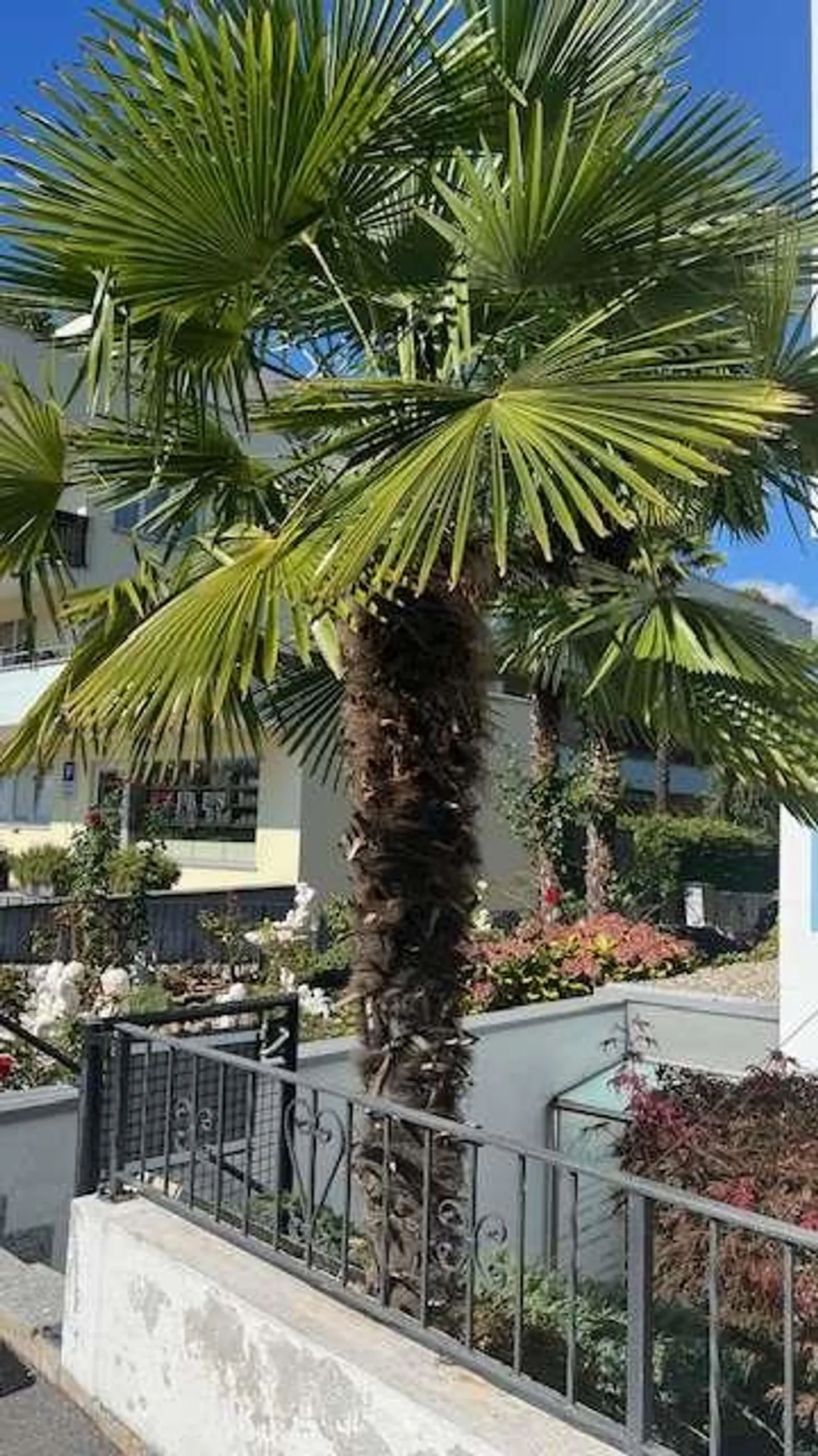 Büro mit Prestige mit Garten und Terrasse in eleganter Residenz - Foto 5 von 8