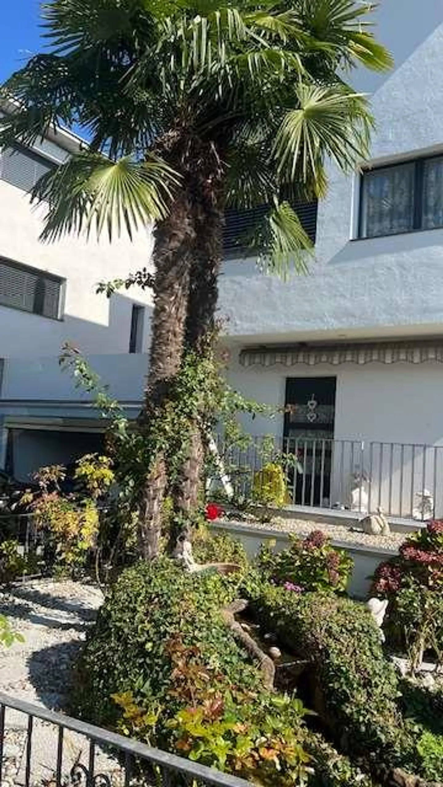 Büro mit Prestige mit Garten und Terrasse in eleganter Residenz - Foto 7 von 8