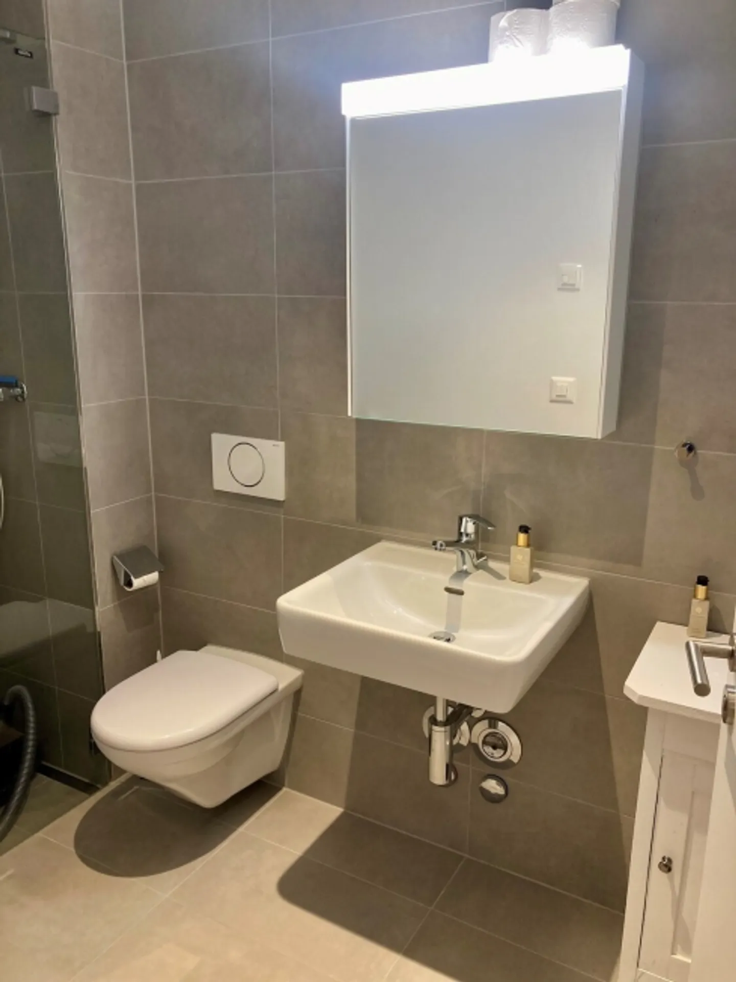 3½ ROOM APARTMENT IN BERN - MURIFELD, FURNISHED, TEMPORARY - Photo 7 of 9