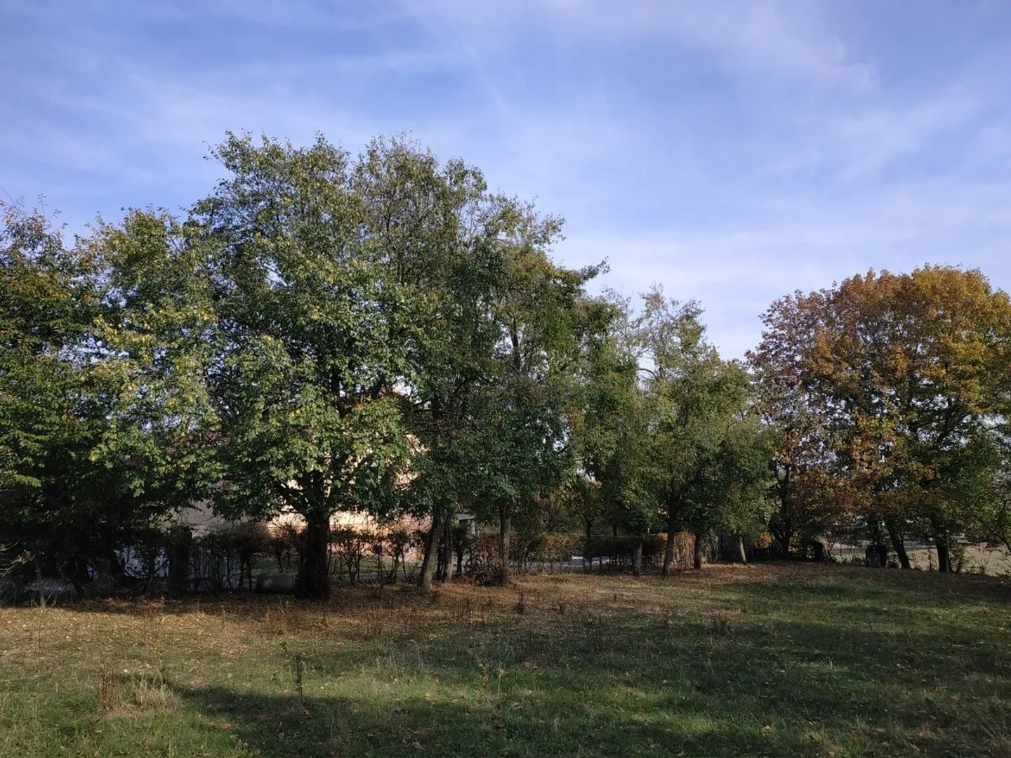 Terreno in vendita in un ambiente idilliaco - Foto 5 di 9