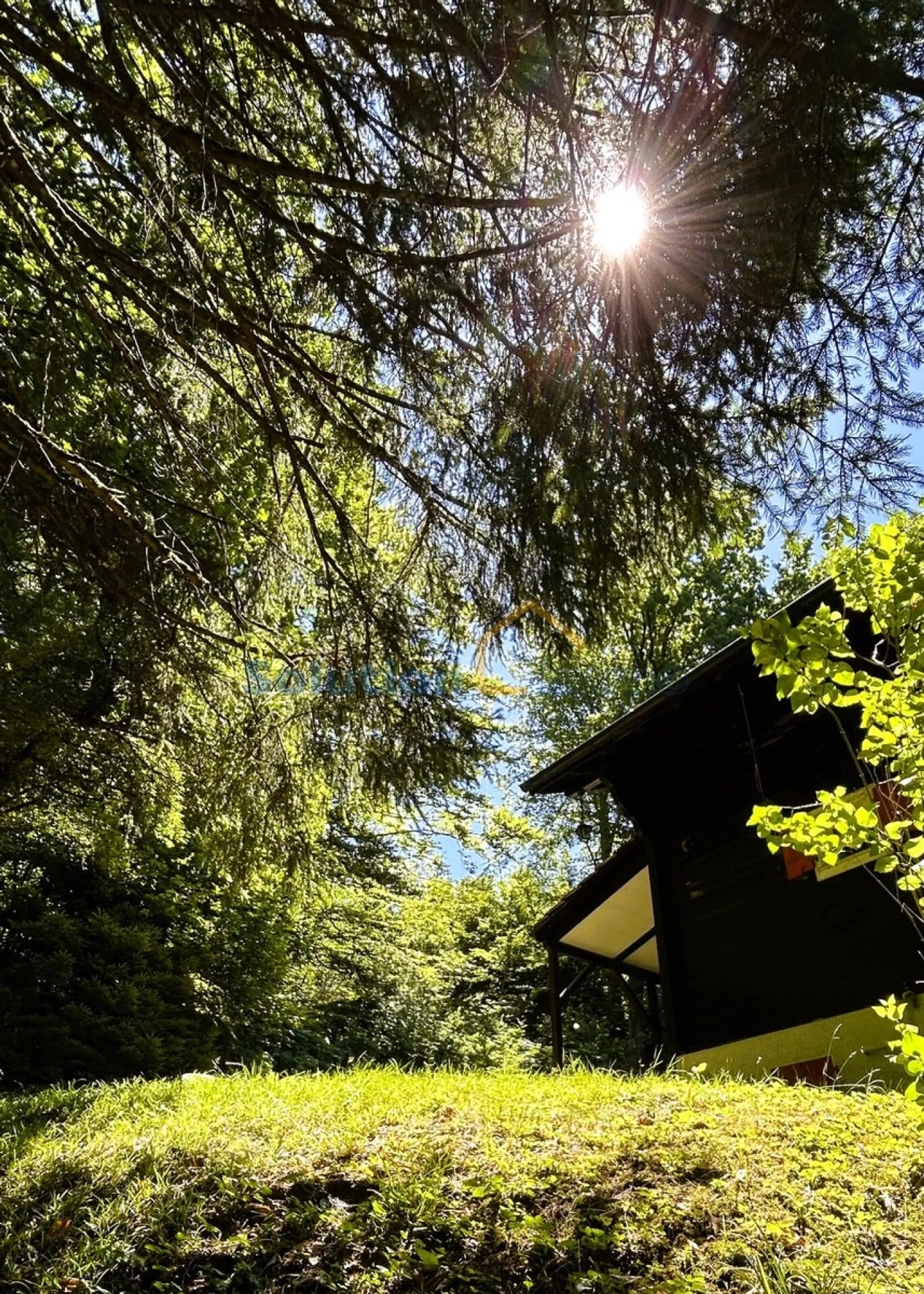 Adjacent Villa, Plot No. 2 with 4.5 Rooms - Photo 17 of 20