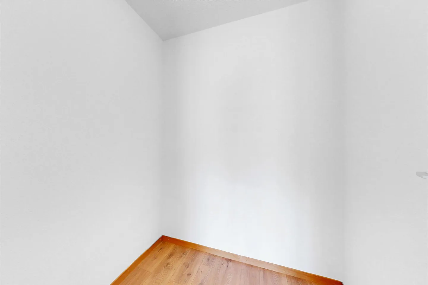 Quiet and Green Neighborhood - Photo 6 of 9