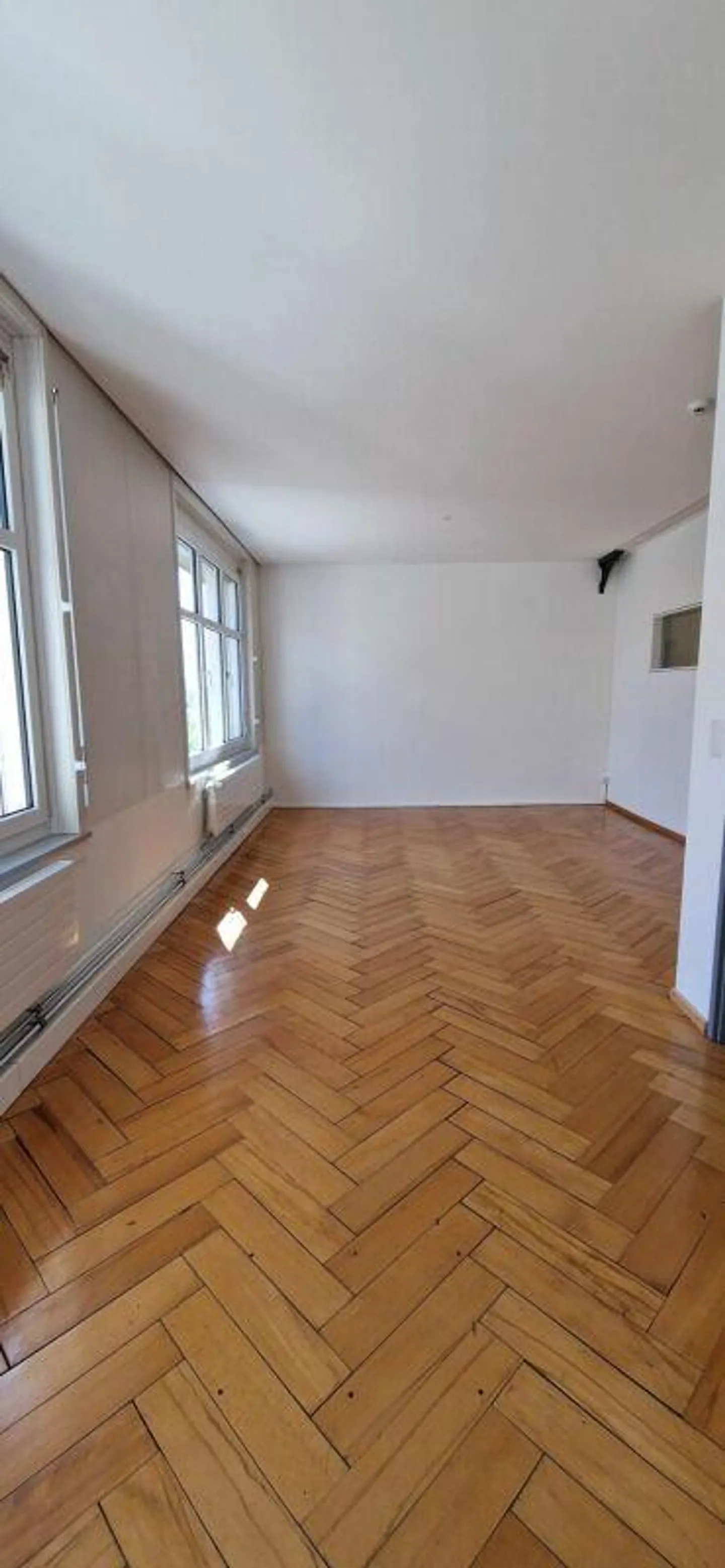 Spazio commerciale pratico a Rebstein - Foto 4 di 8