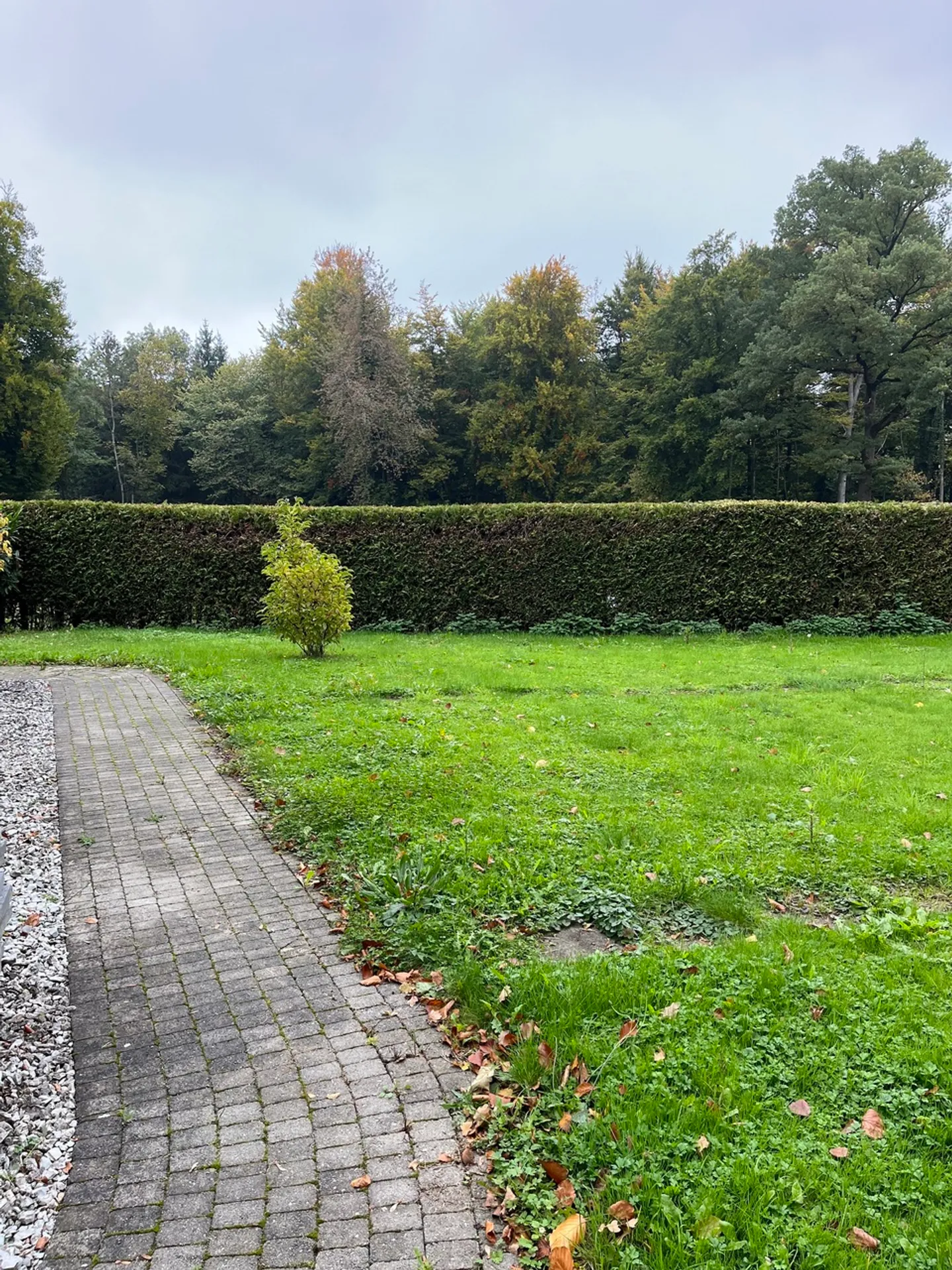 For rent - Charming duplex apartment with 4.5 rooms (126 m²) - Photo 4 of 22